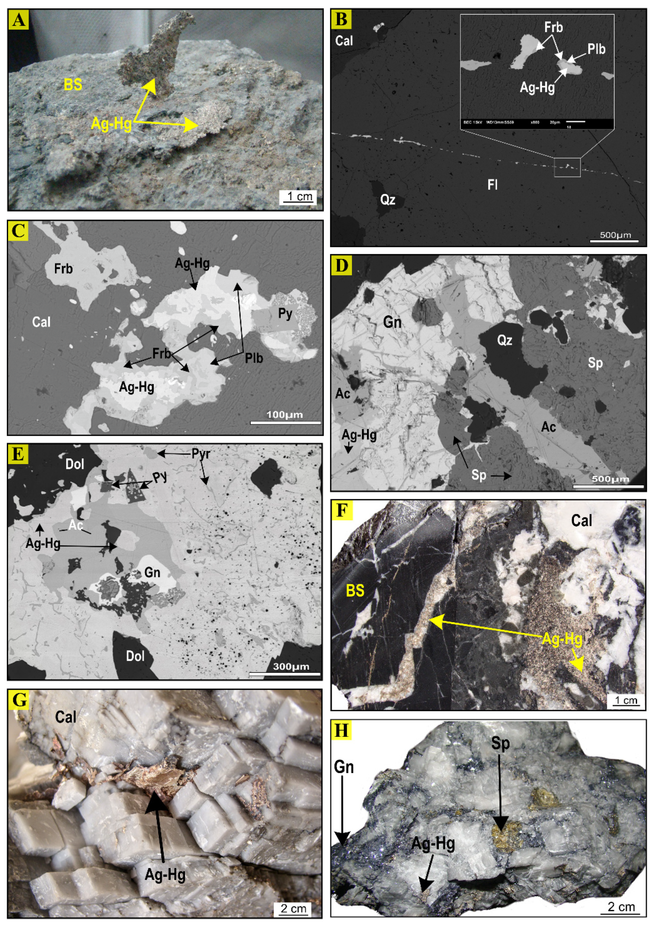 Minerals 11 00997 g004