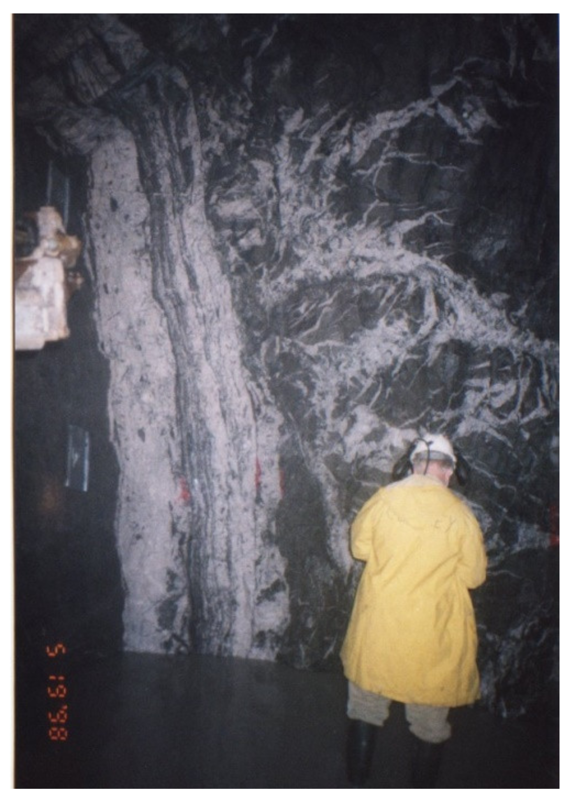 Minerals 11 01109 g005