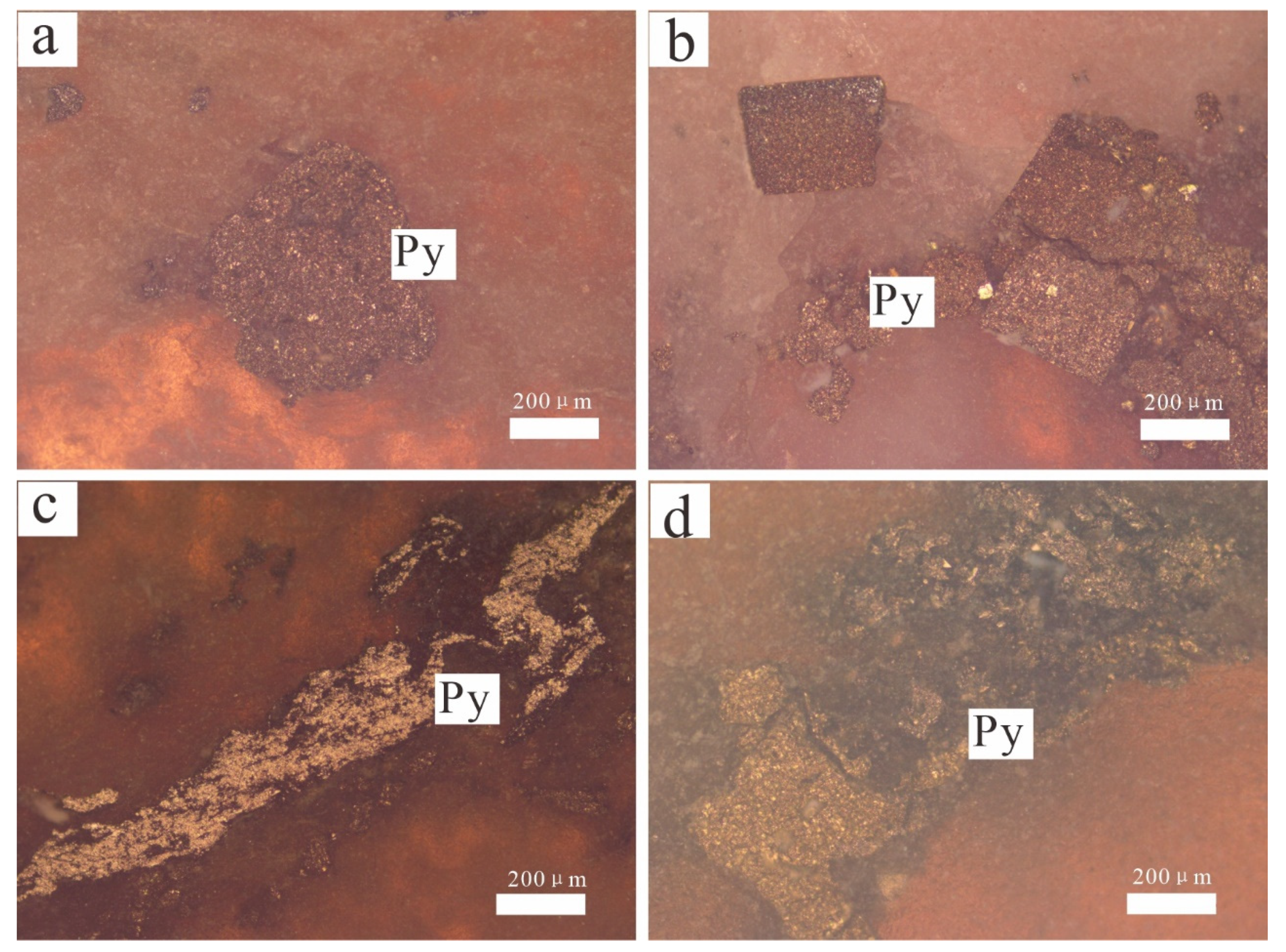 Minerals 11 01117 g007