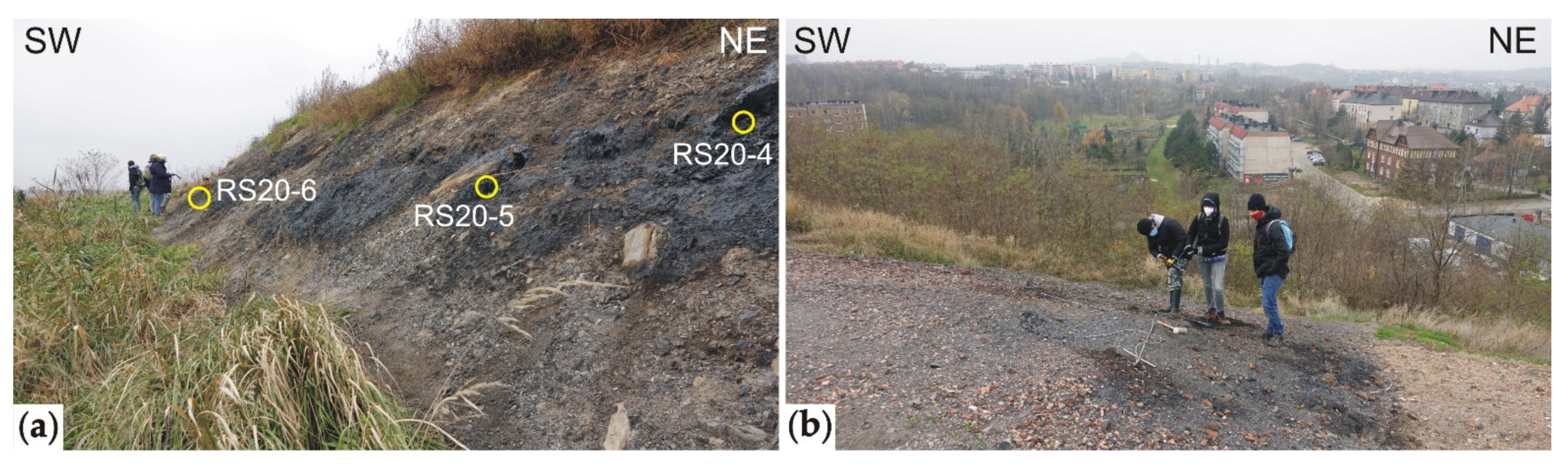 Minerals 11 01120 g002