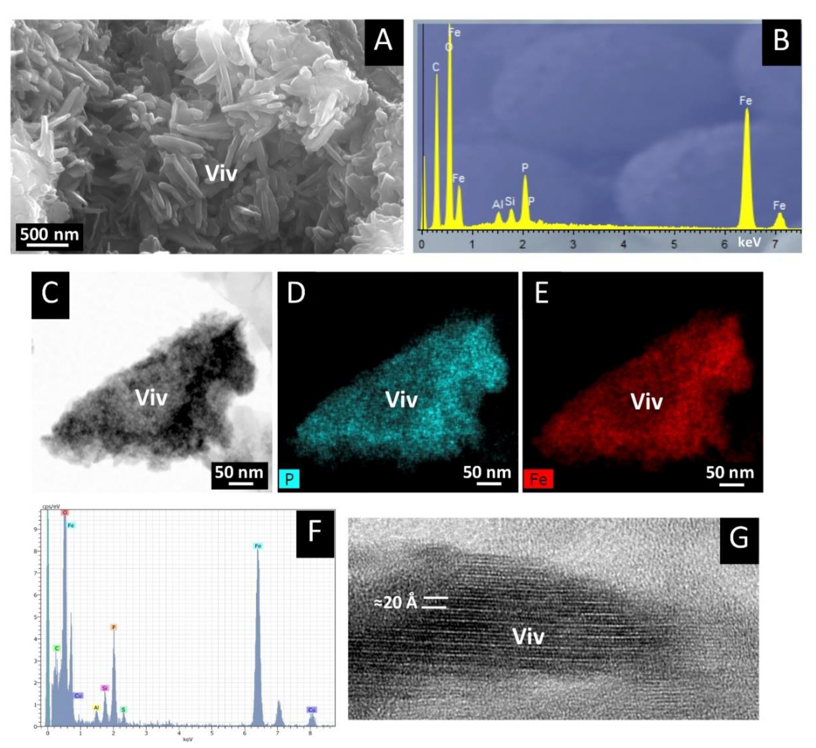 Minerals 11 01148 g004