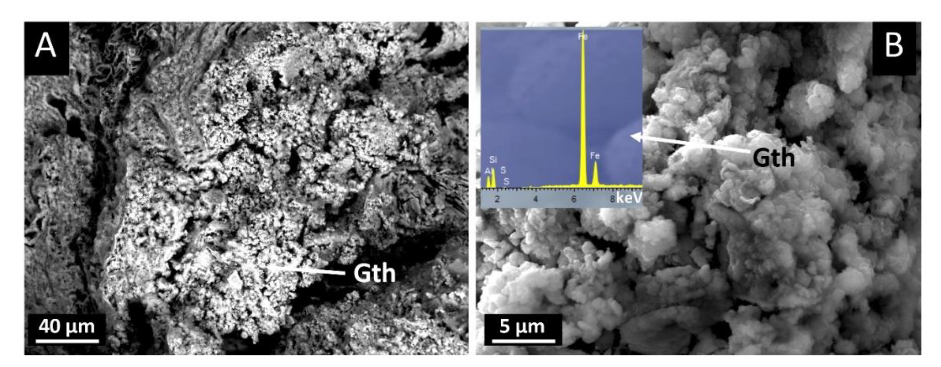 Minerals 11 01148 g005