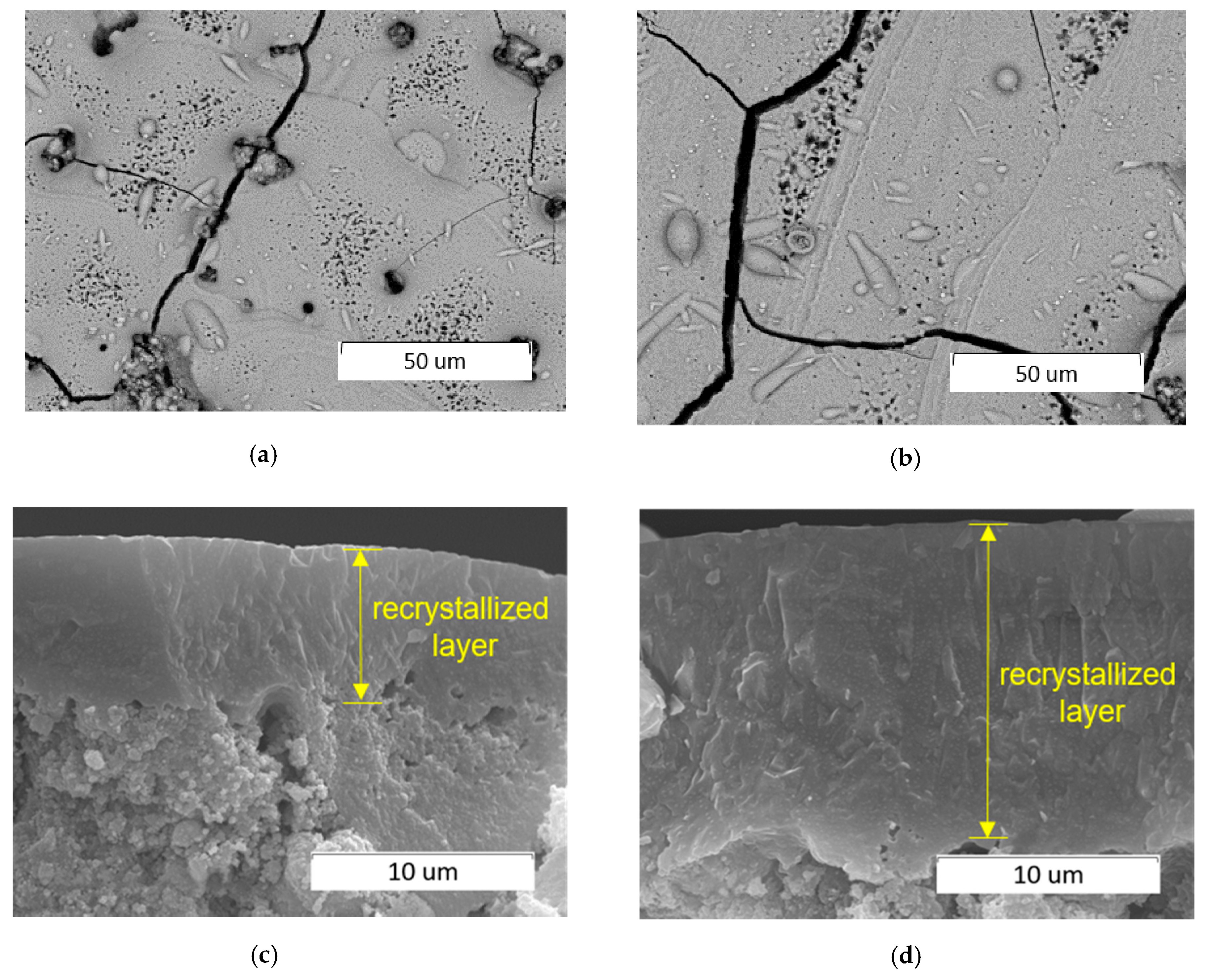 Minerals 11 01310 g008
