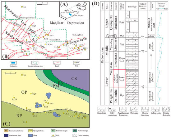 Scientists finally succeed in growing dolomite in the lab by