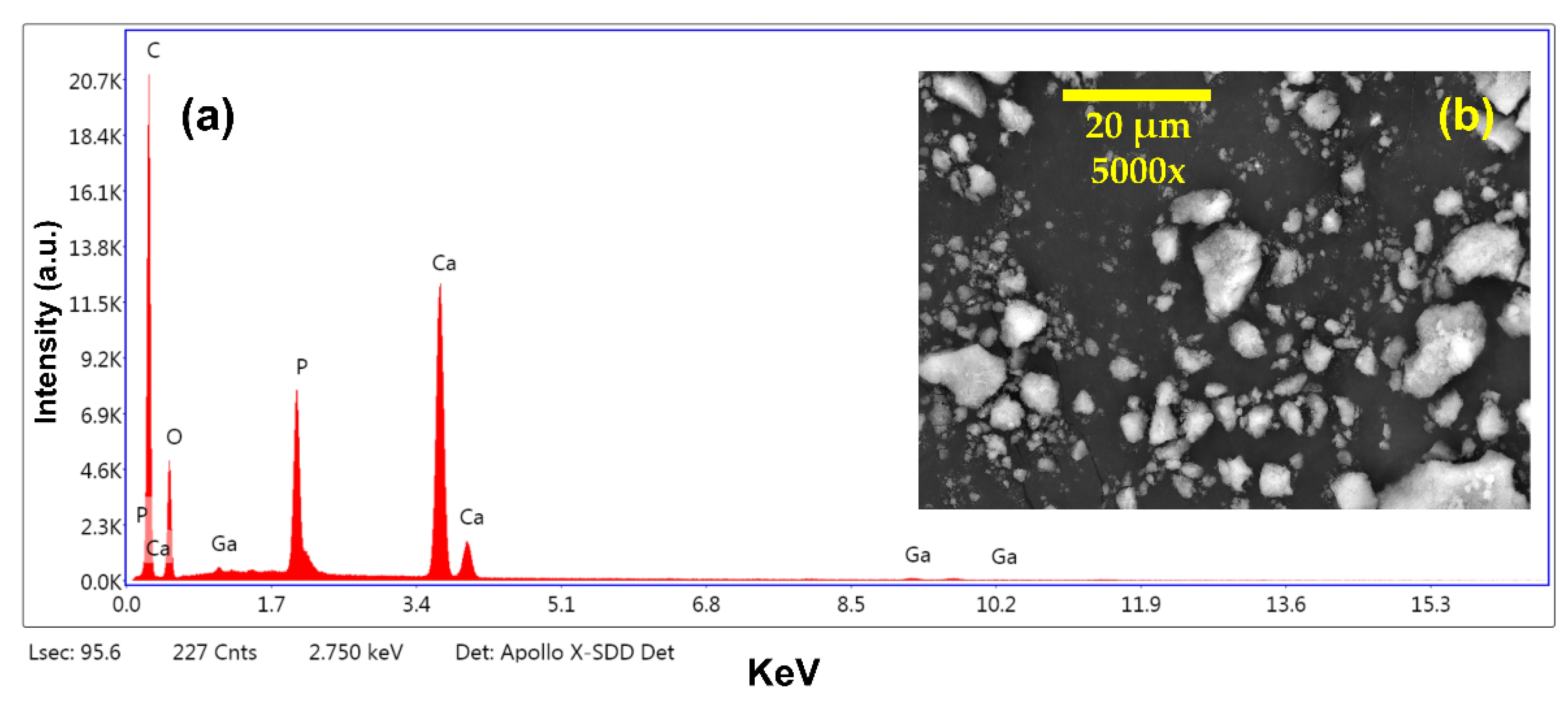 Minerals 11 01347 g003
