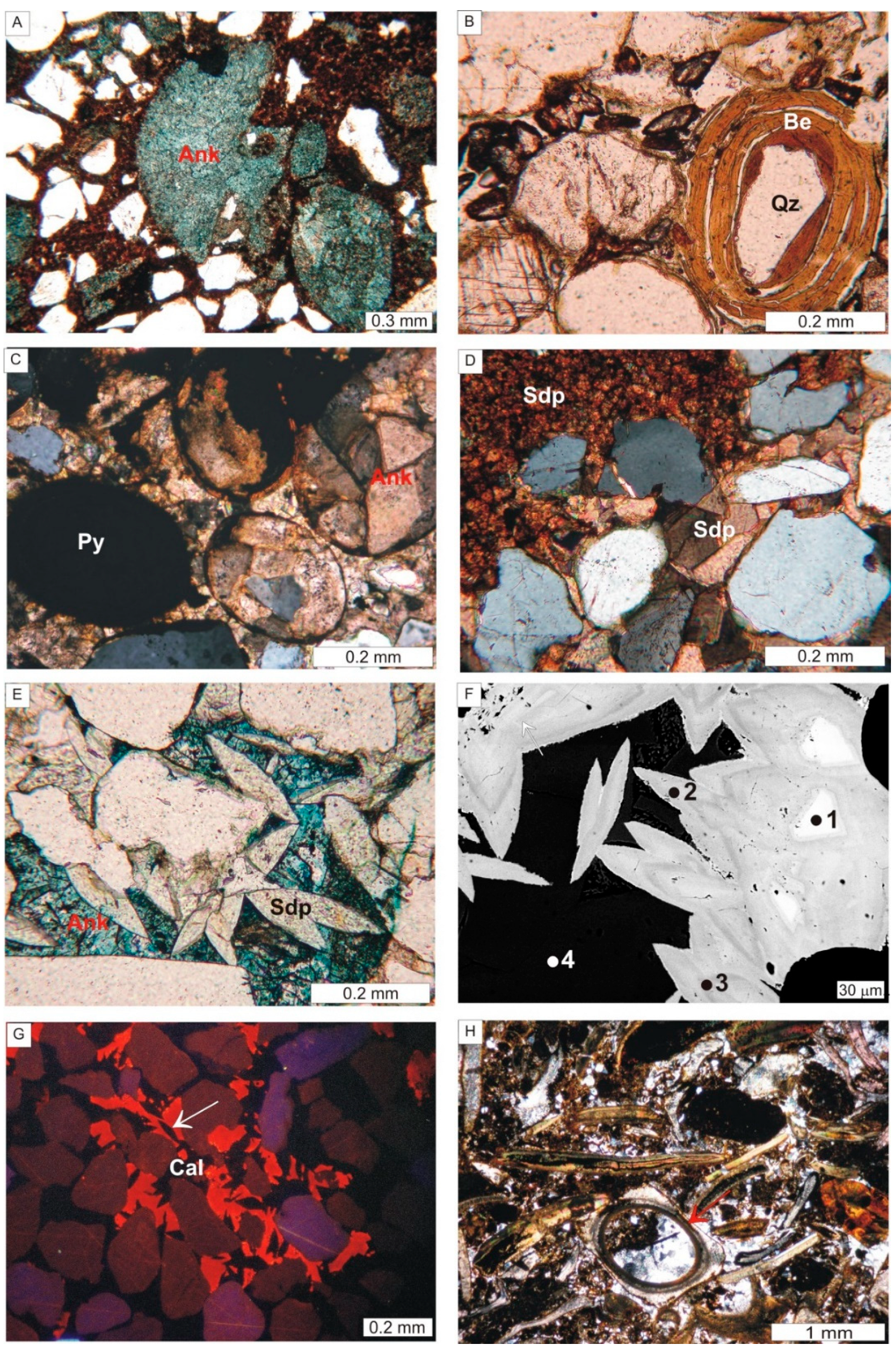 Minerals 11 01353 g005