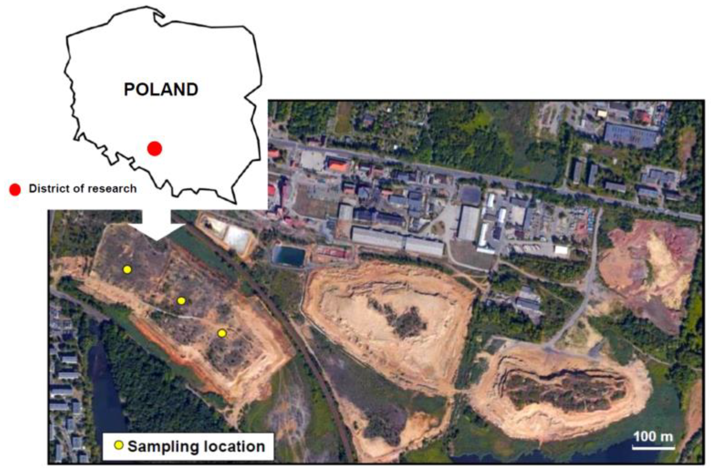 Minerals 11 01384 g001