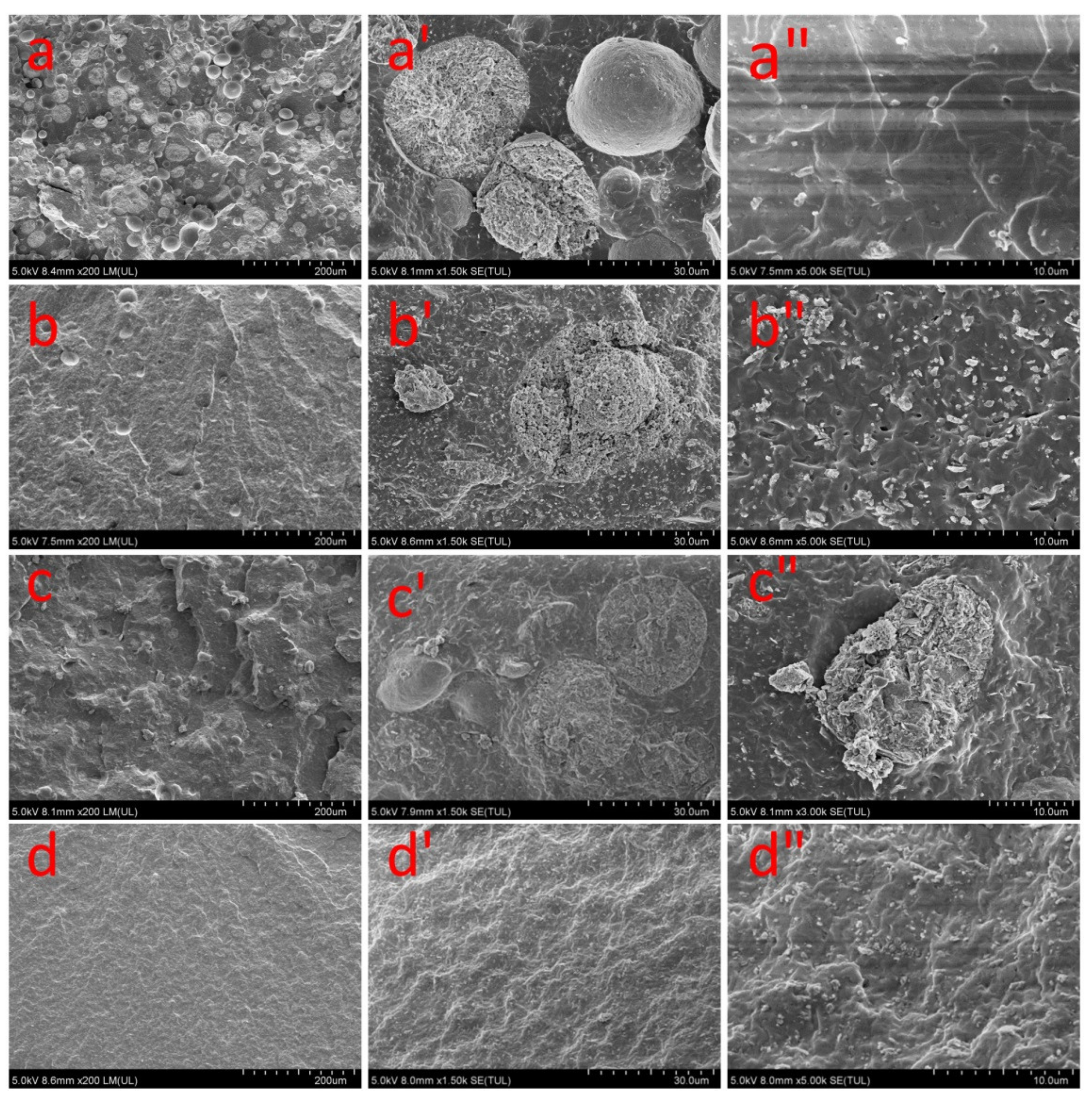 Minerals 11 01388 g008