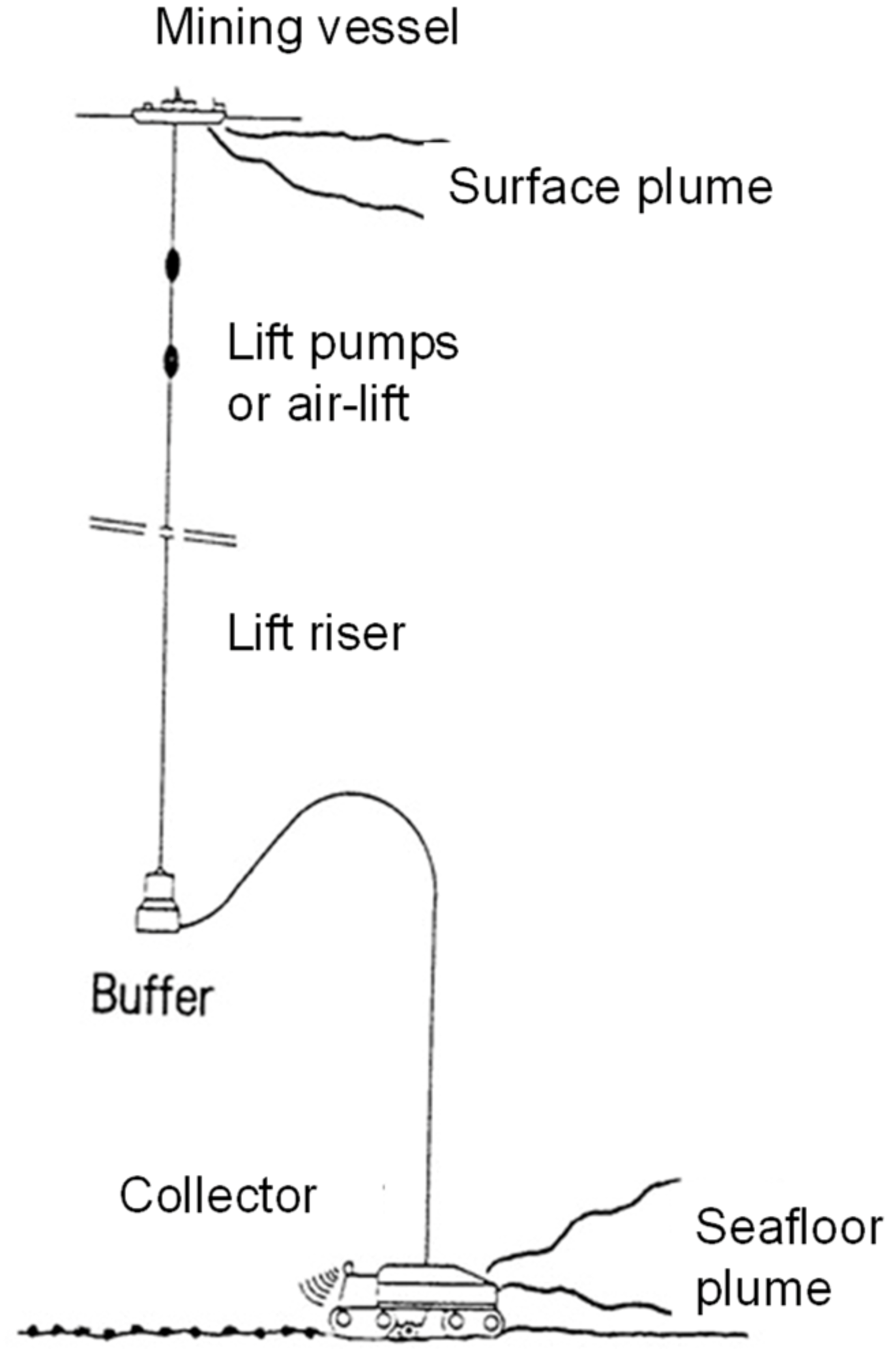 Minerals 11 01389 g002