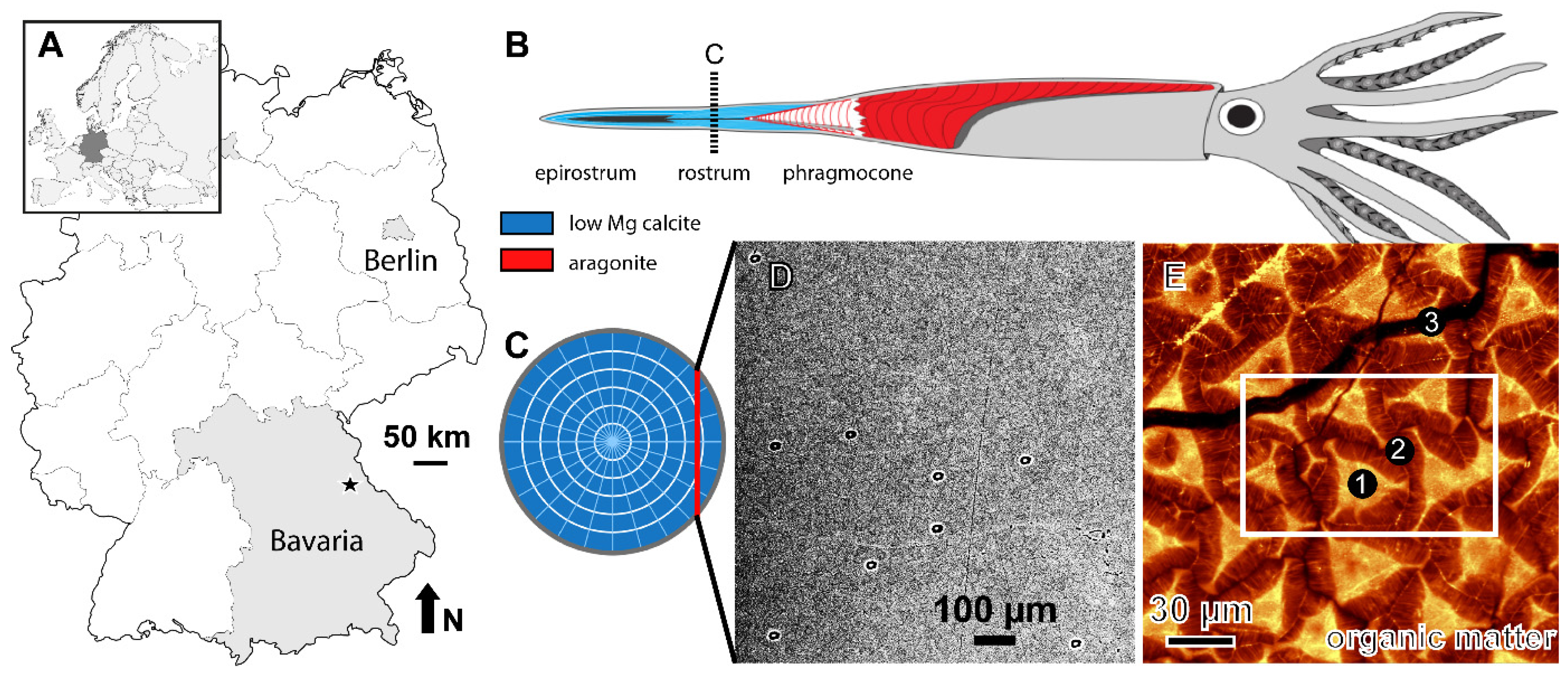 Minerals 11 01406 g001