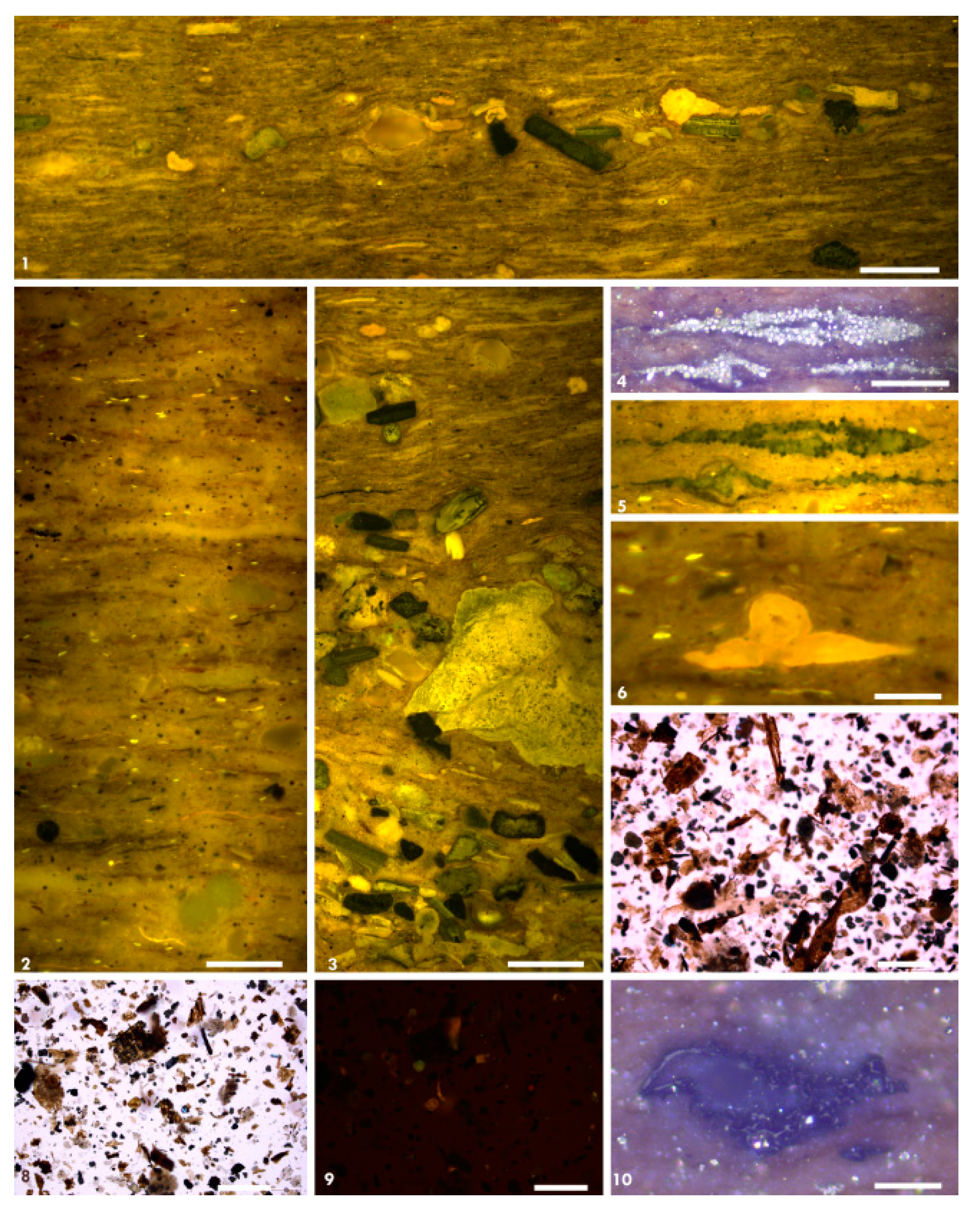 Minerals 11 01416 g014