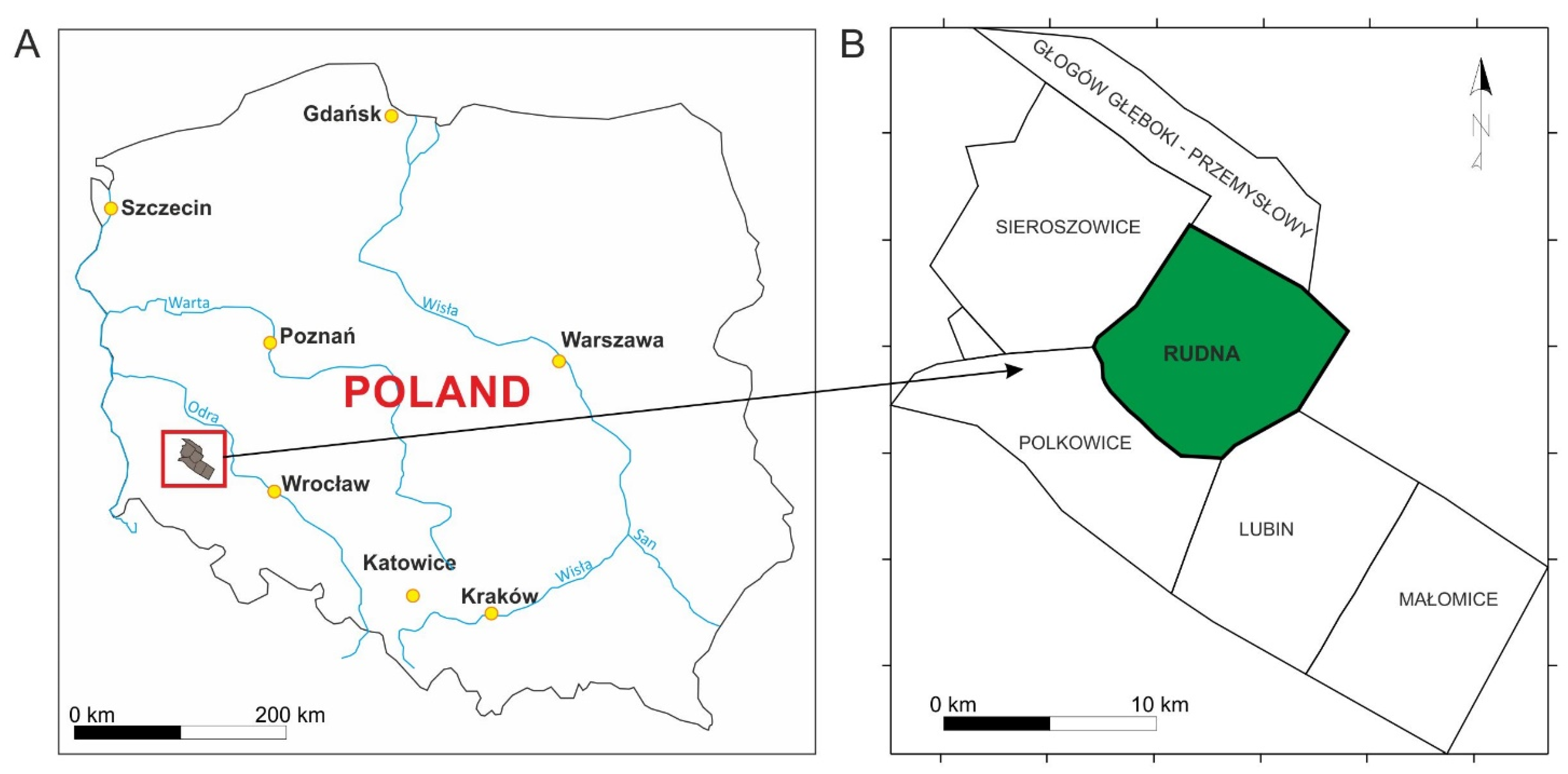 Minerals | Free Full-Text | Problems of Estimating the Resources of  Accompanying Elements: A Case Study from the Cu-Ag Rudna Deposit  (Legnica-G&#322;og&oacute;w Copper District, Poland) | HTML