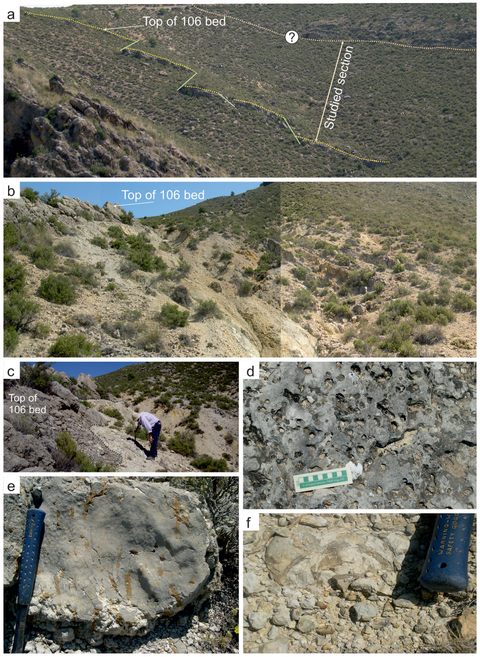 Minerals 12 00116 g004 Minerals 12 00116 g004