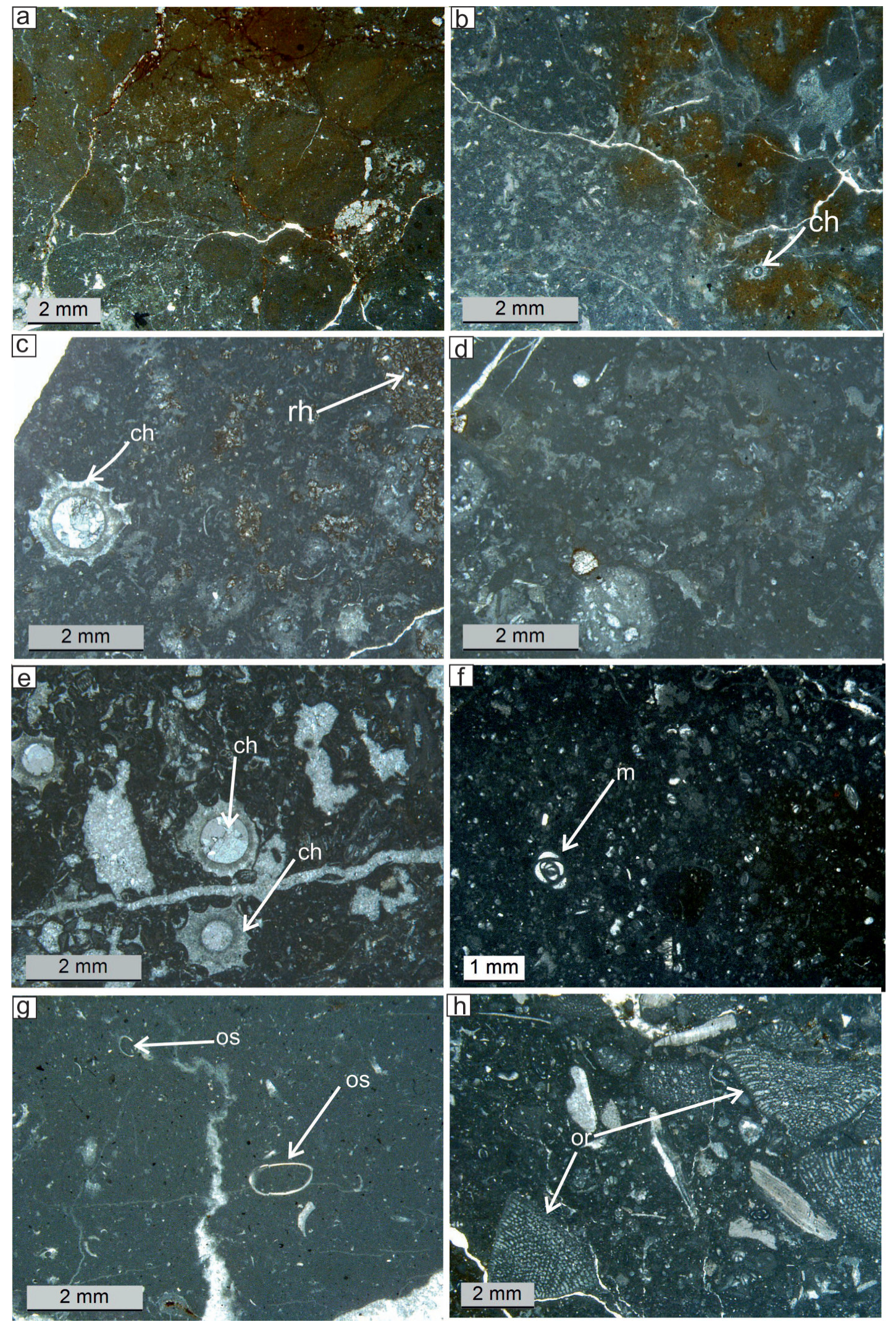 Minerals 12 00116 g005 Minerals 12 00116 g005