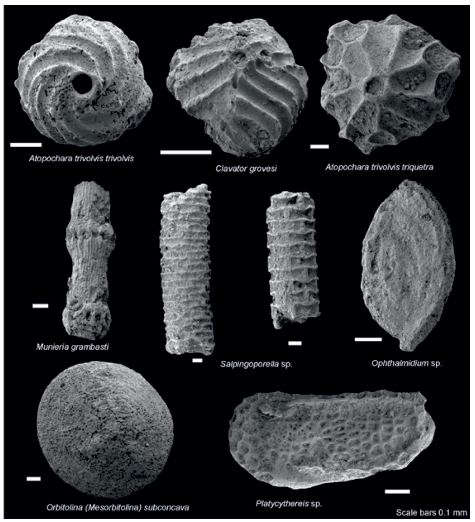 Minerals 12 00116 g006 Minerals 12 00116 g006