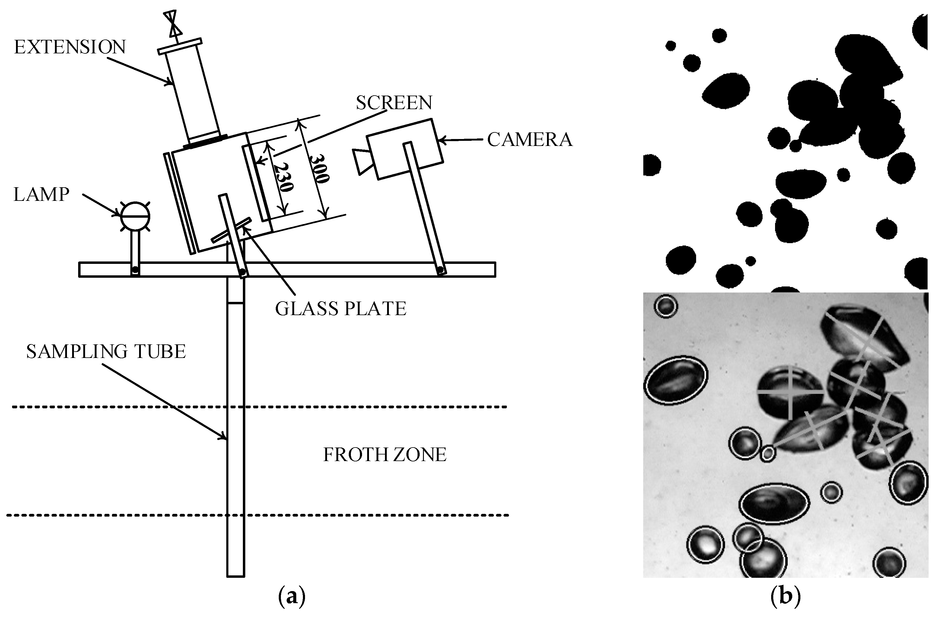 Minerals 12 00125 g001