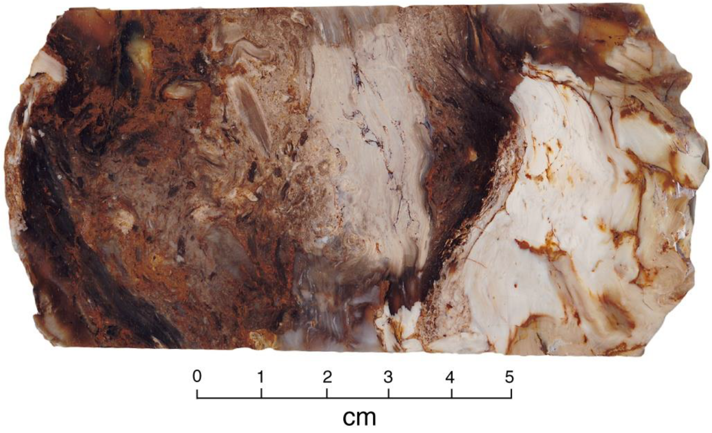 Minerals 12 00131 g005