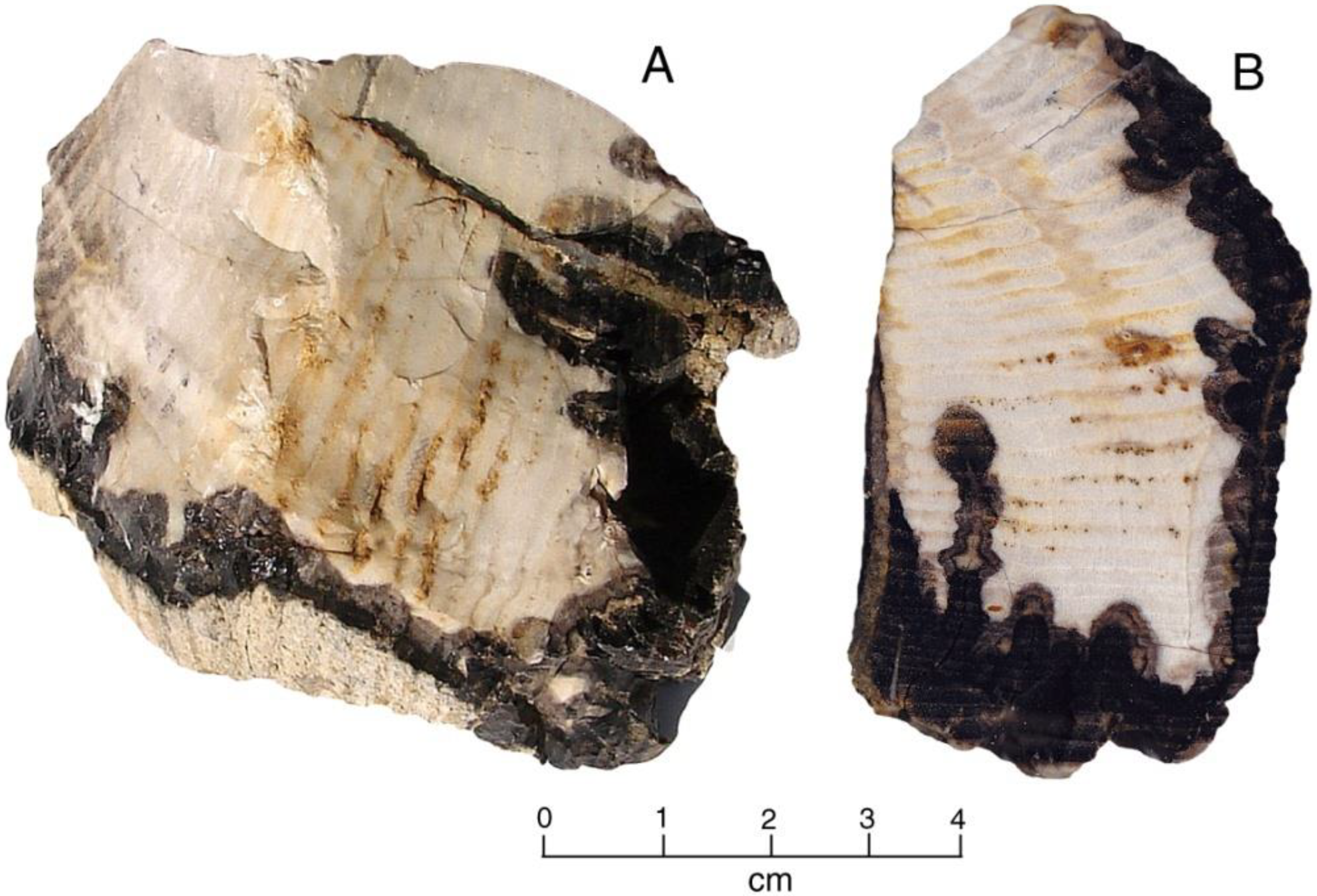 Minerals 12 00131 g006