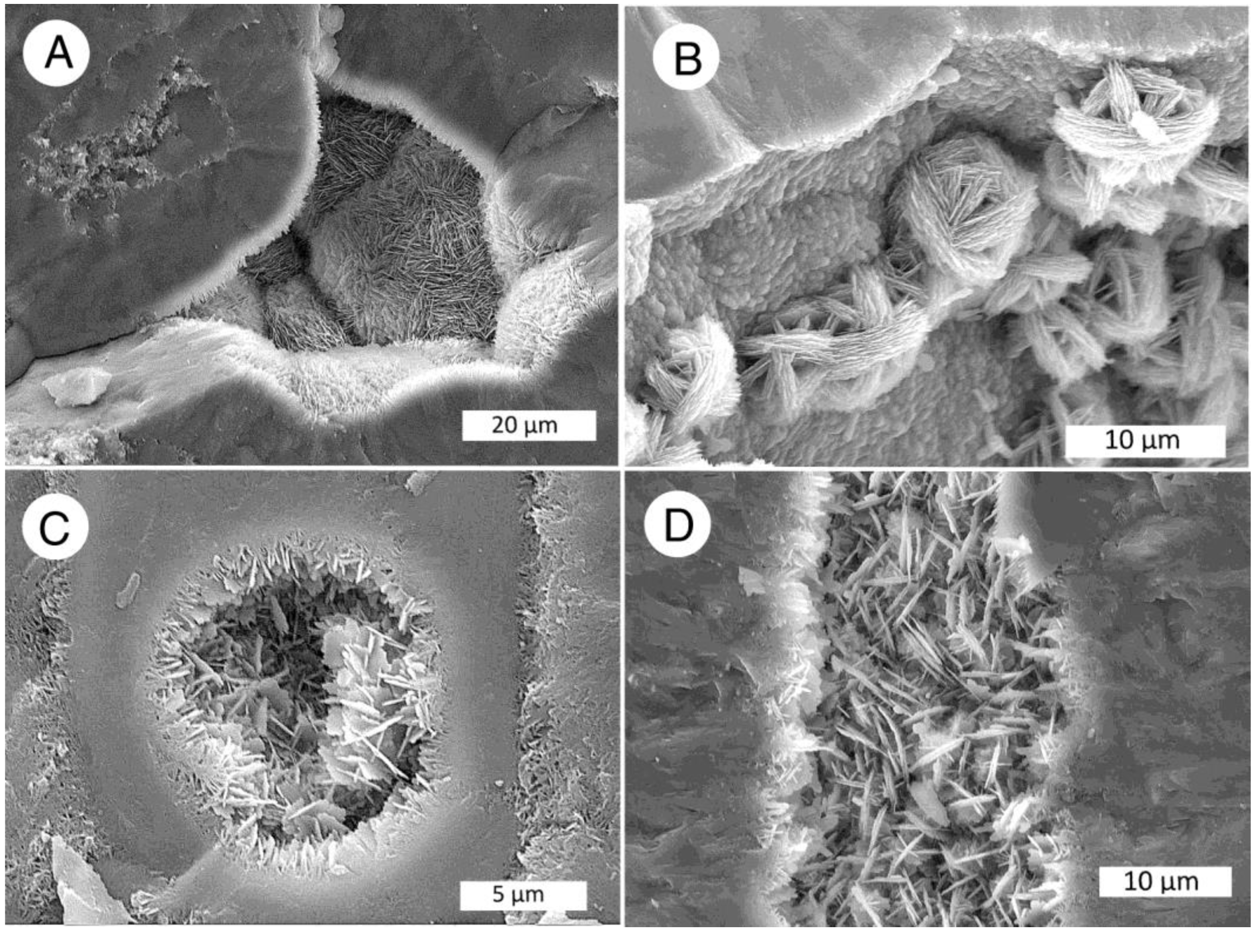 Minerals 12 00131 g011