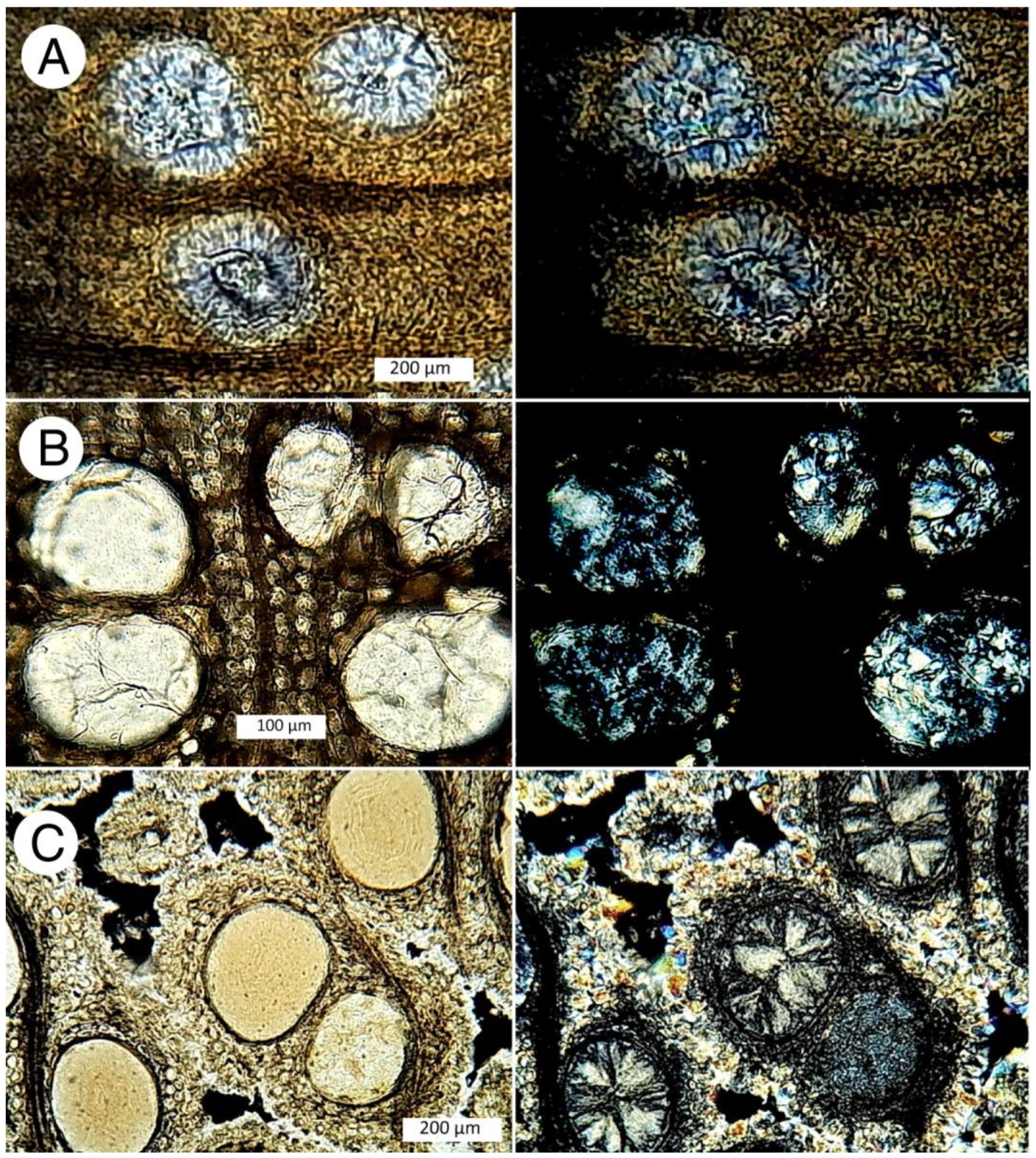 Minerals 12 00131 g022