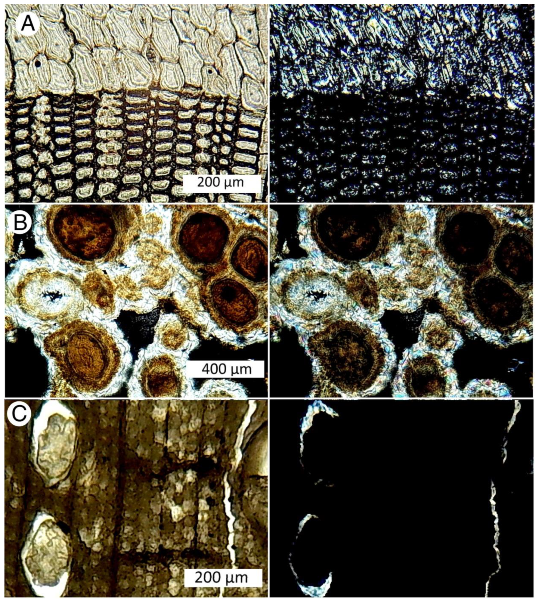 Minerals 12 00131 g023