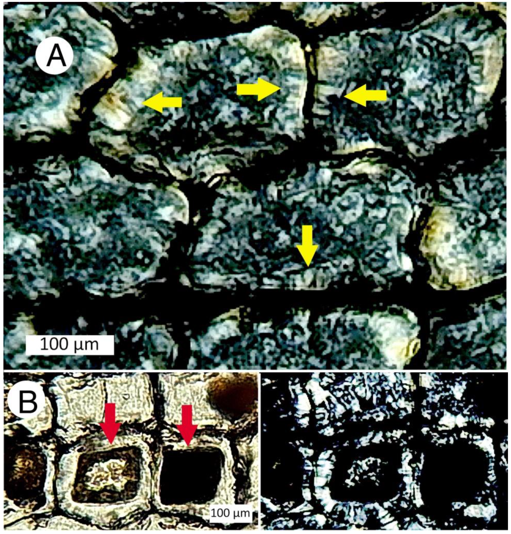 Minerals 12 00131 g028