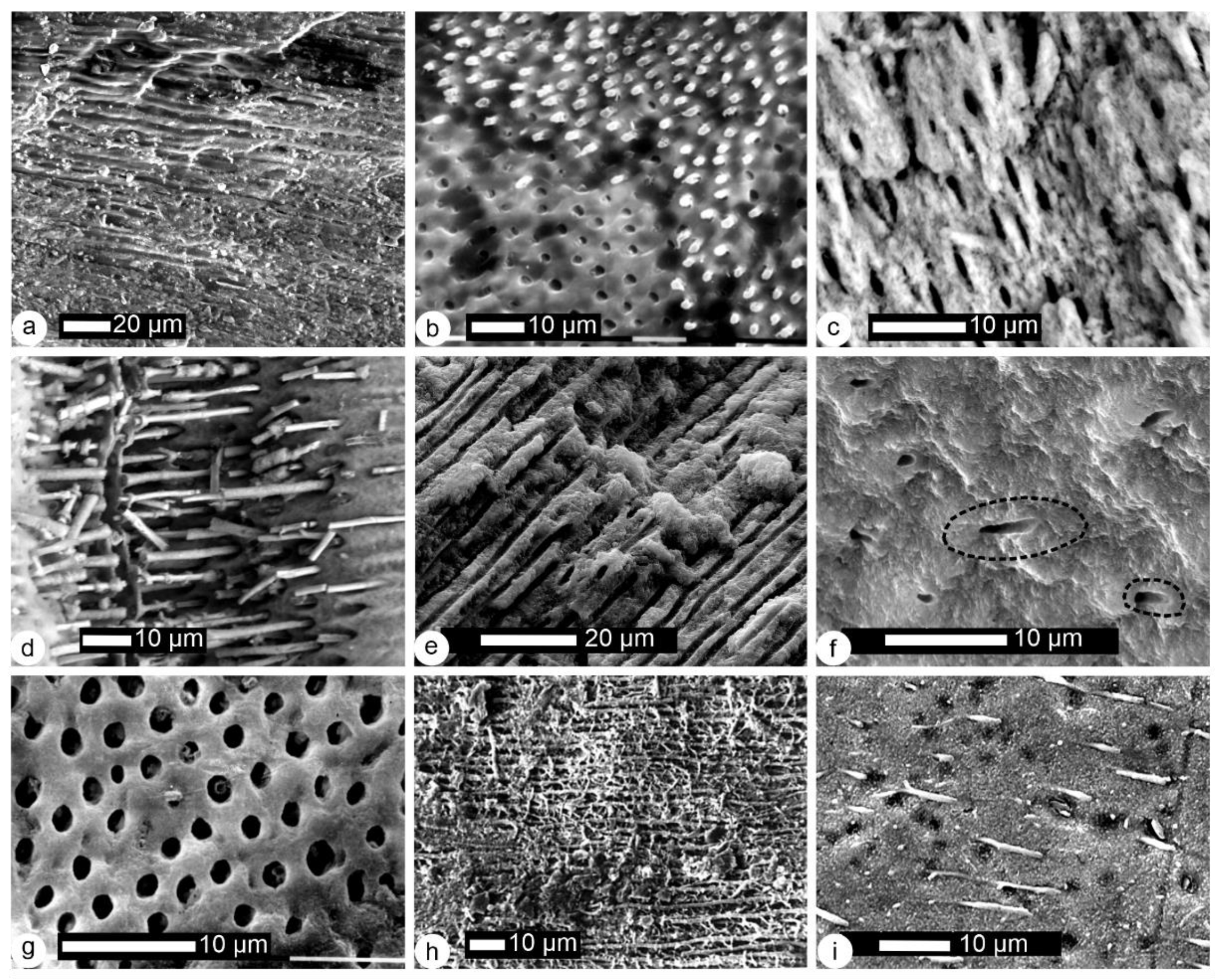 Minerals 12 00180 g004