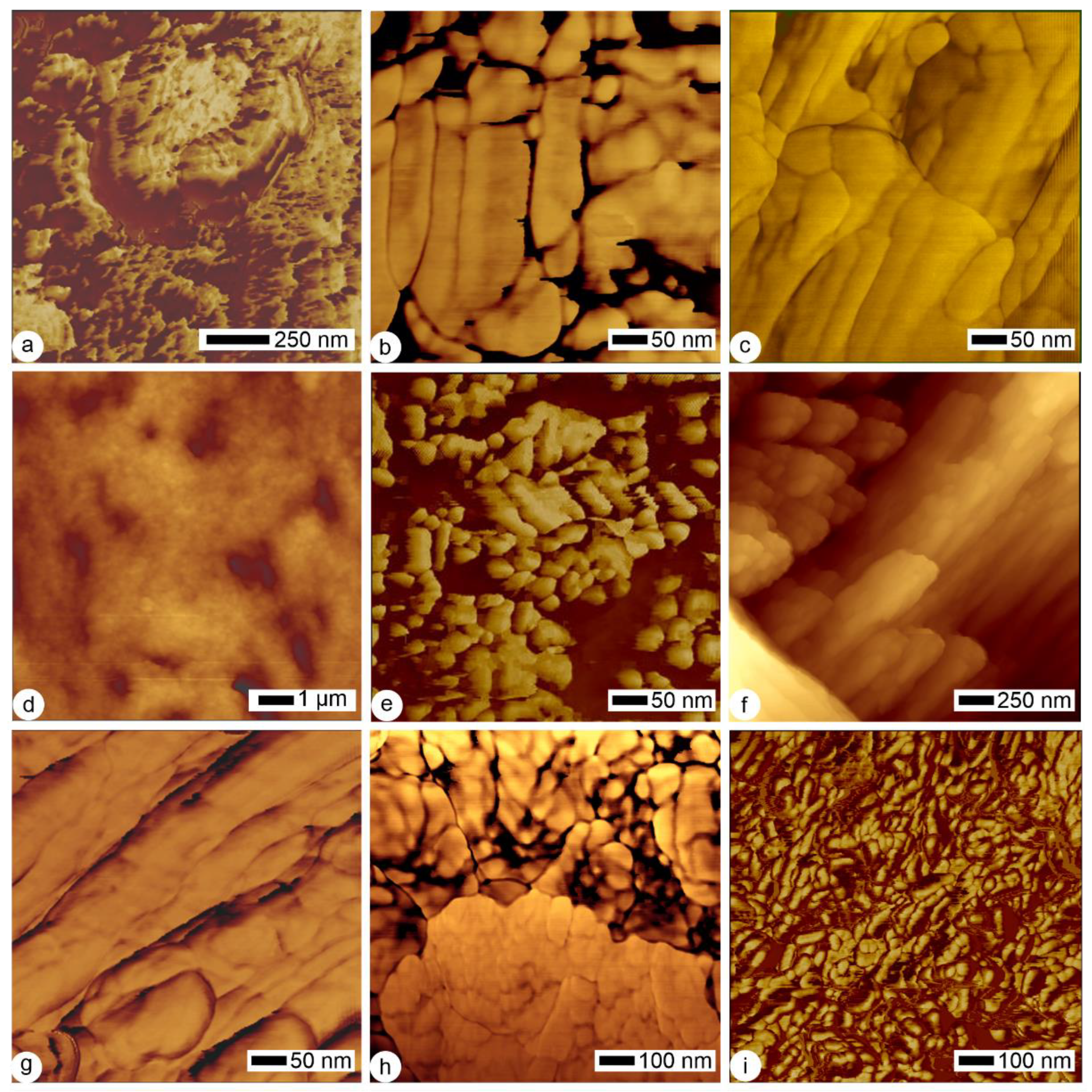 Minerals 12 00180 g006