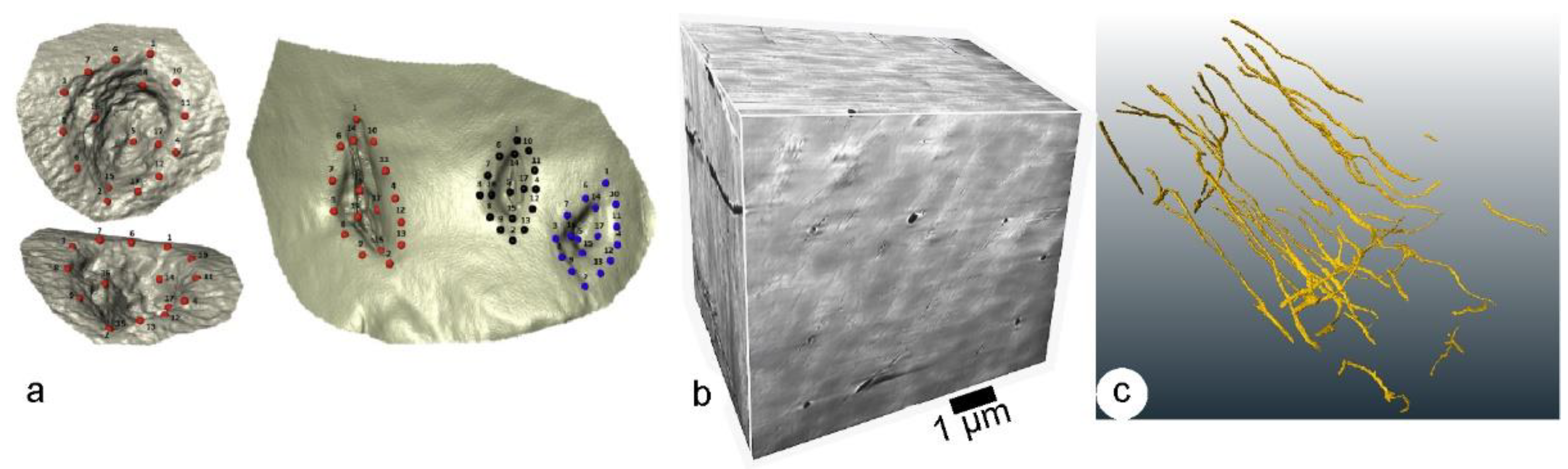 Minerals 12 00180 g016