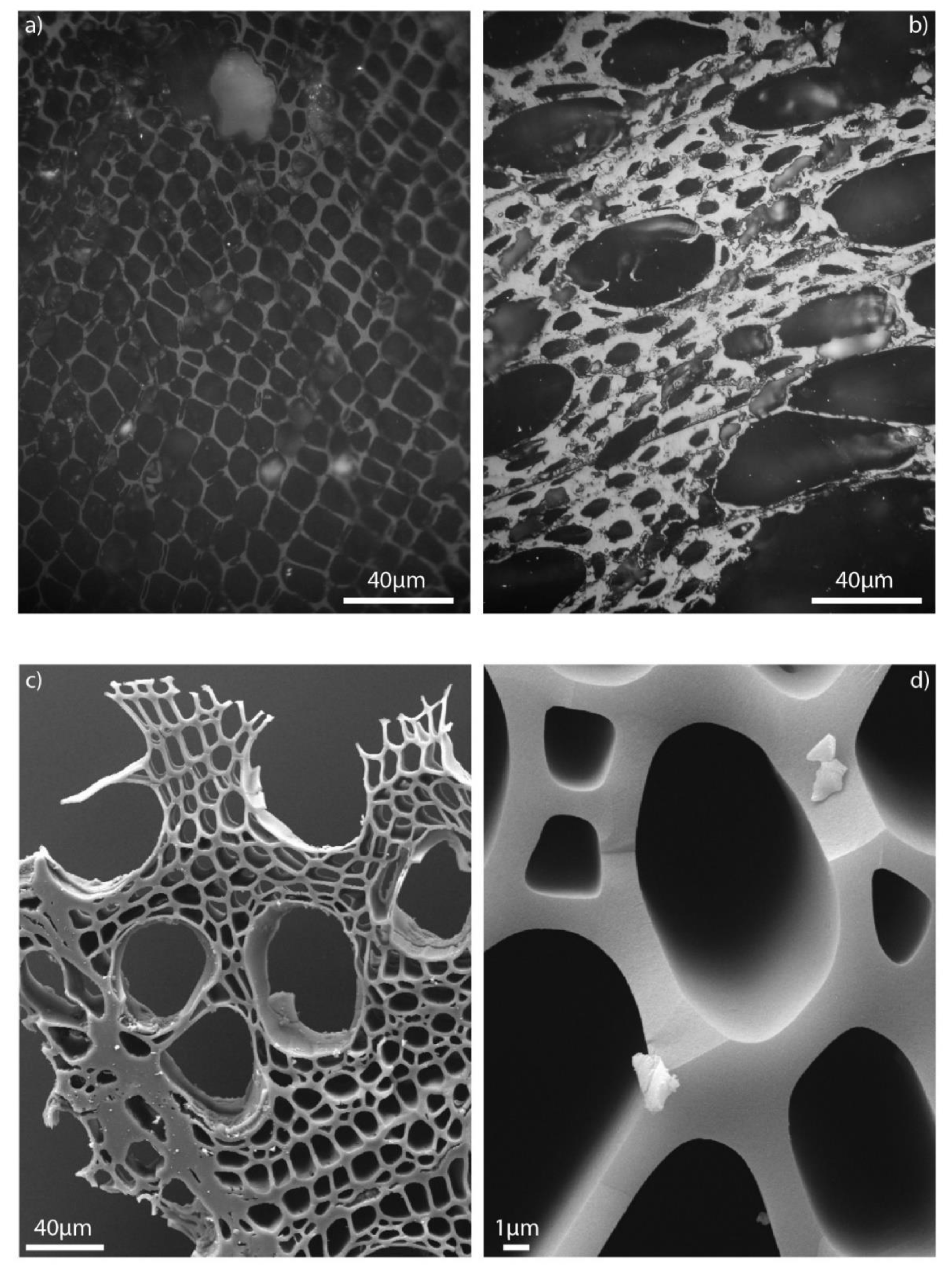 Minerals | Free Full-Text | Calibrating Carbonization Temperatures of Wood  Fragments Embedded within Pyroclastic Density Currents through Raman  Spectroscopy