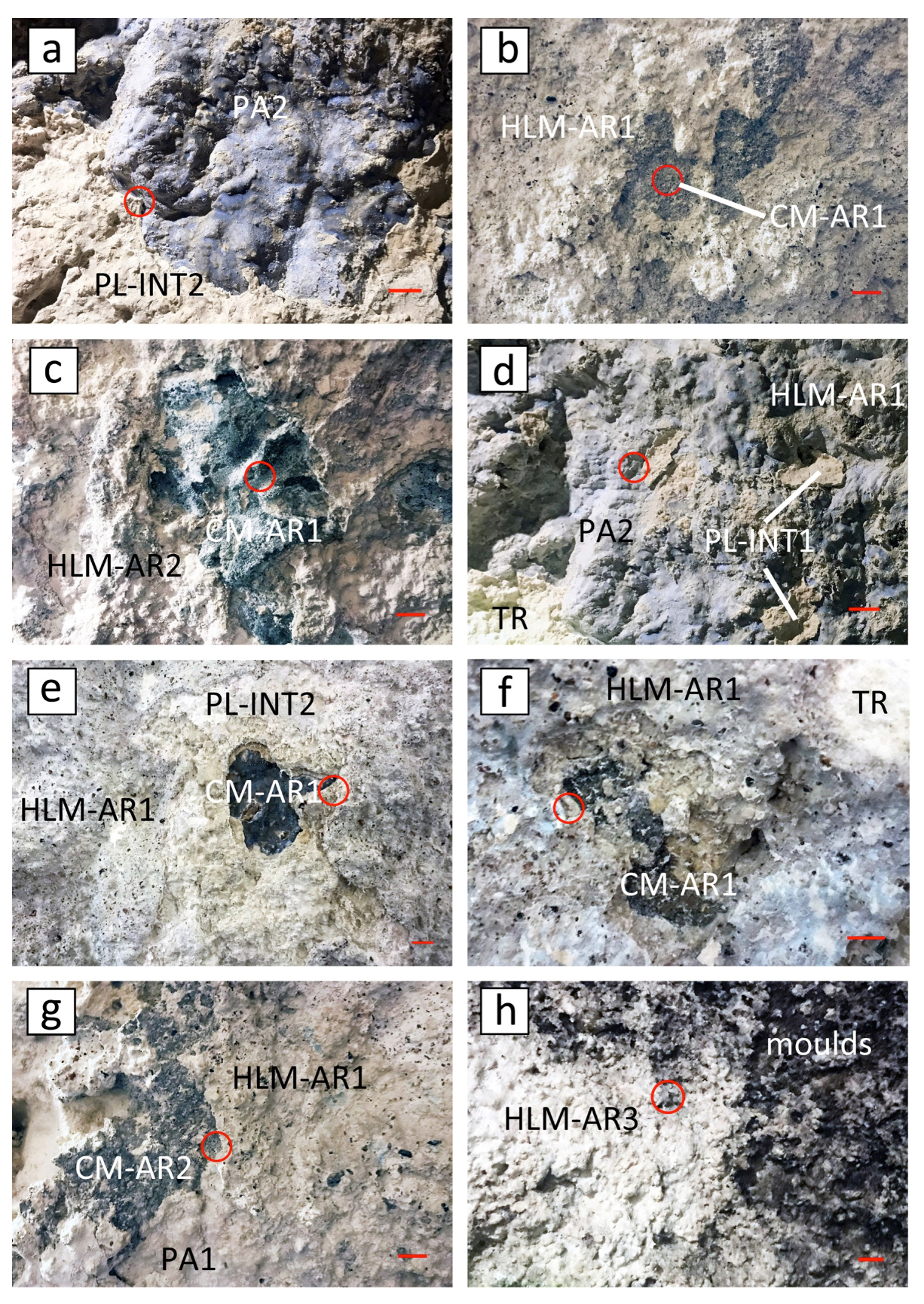 Minerals 12 00226 g005