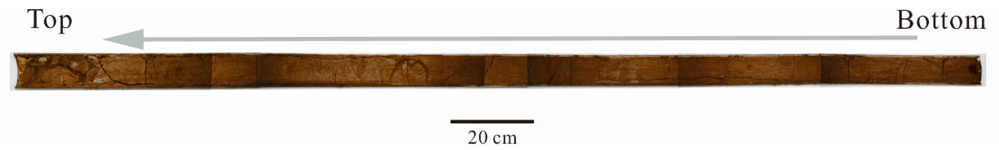 Minerals 12 00287 g002