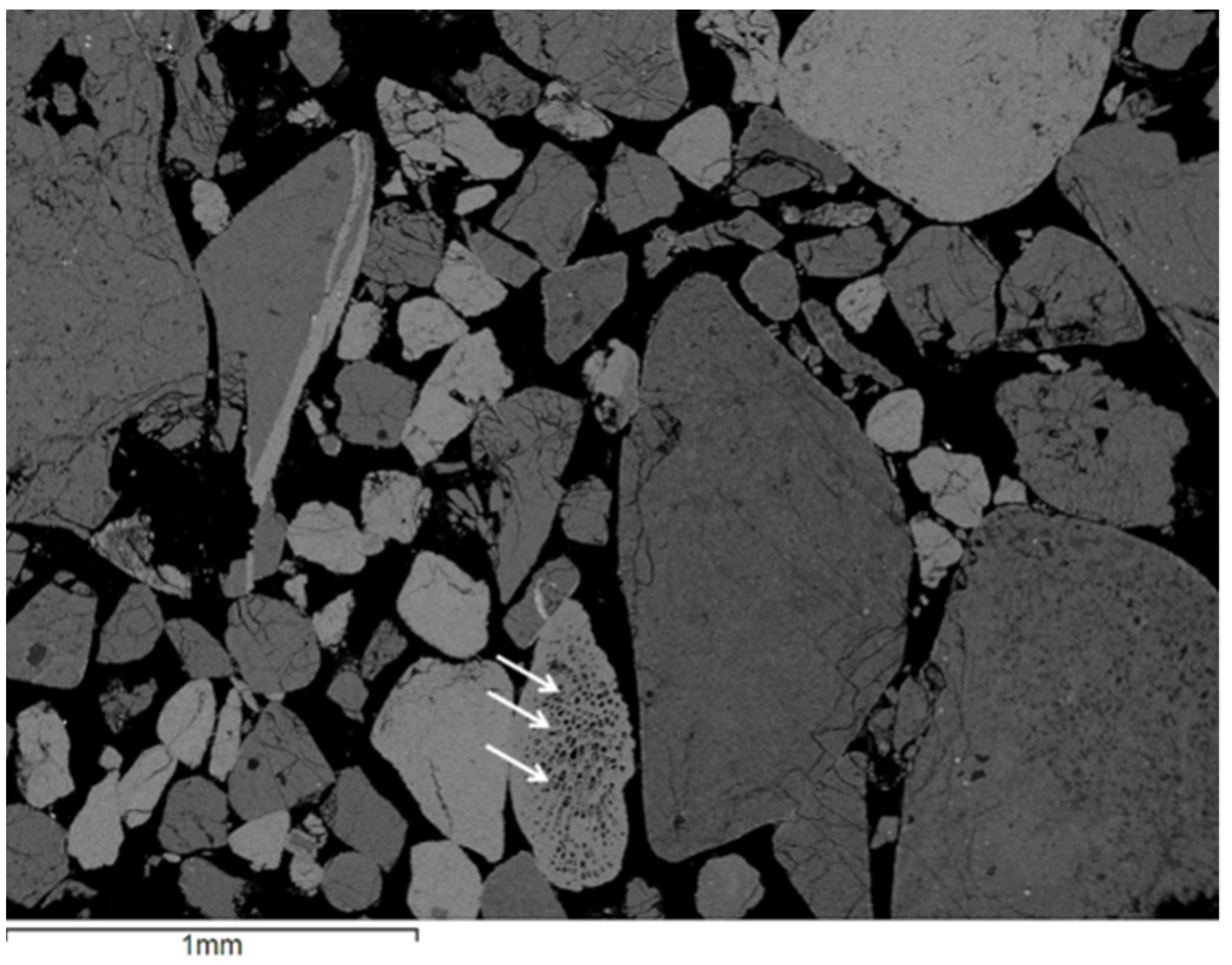 Minerals 12 00392 g012