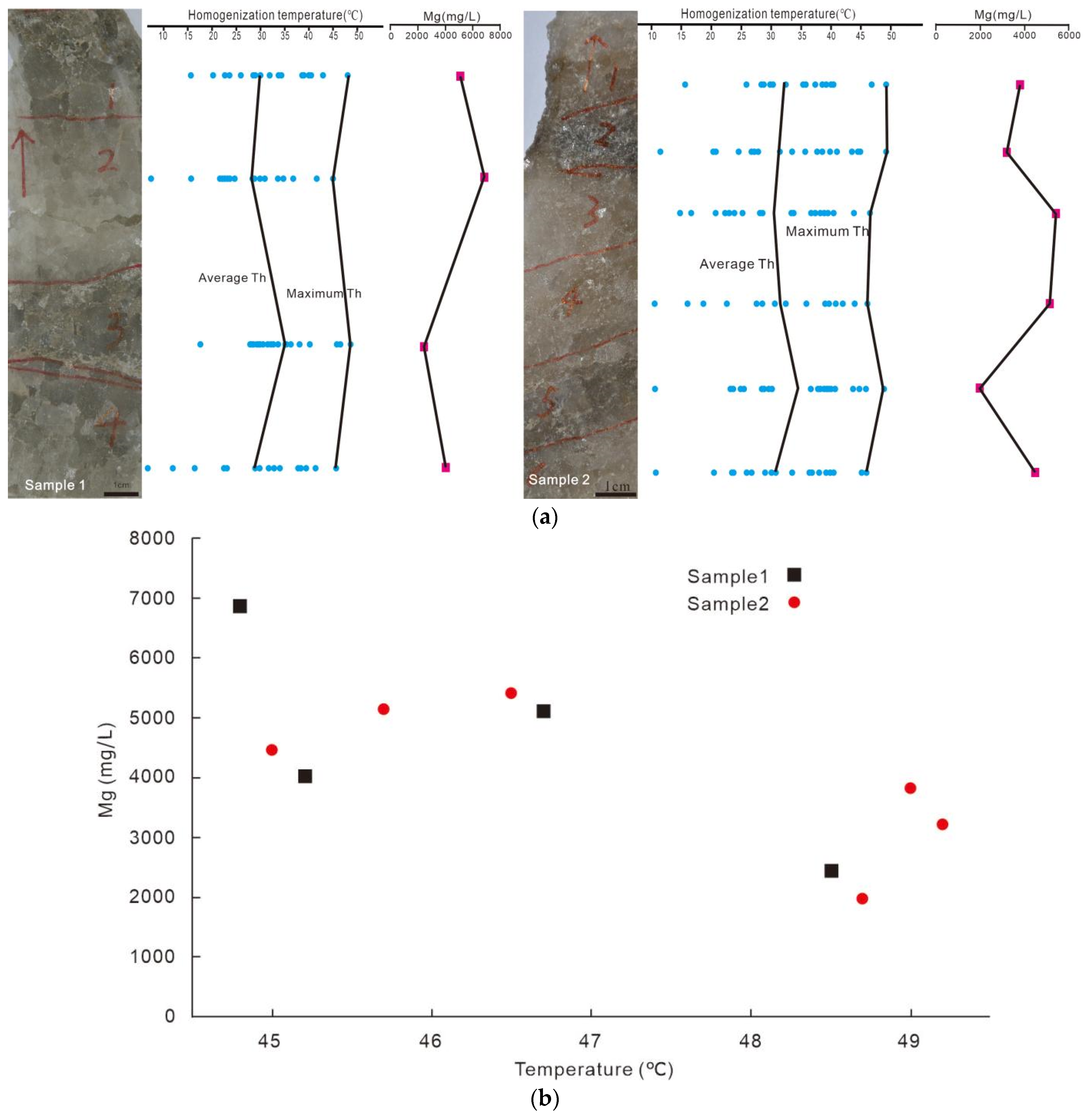 Minerals 12 00410 g008