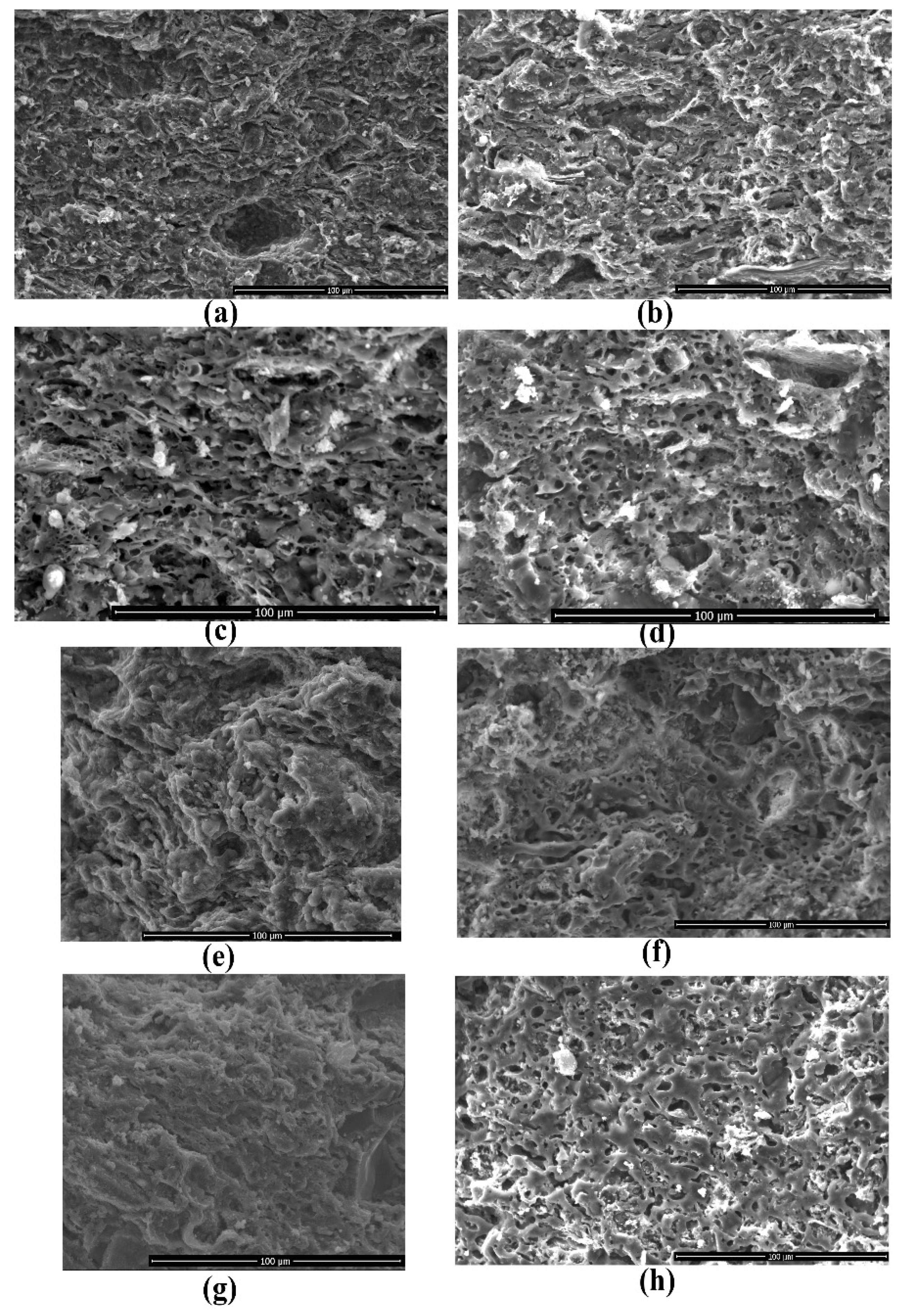 Minerals 12 00423 g013