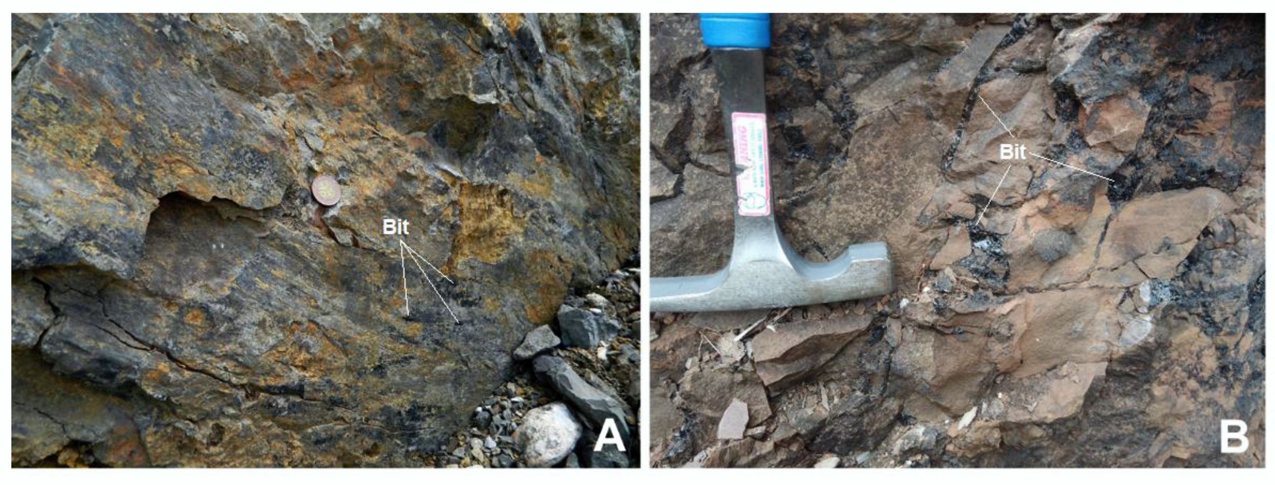 Minerals | Free Full-Text | Geology and Petrography of Uraniferous Bitumens  in Permo-Carboniferous Sediments (Vrchlab&iacute;, Czech Republic) | HTML