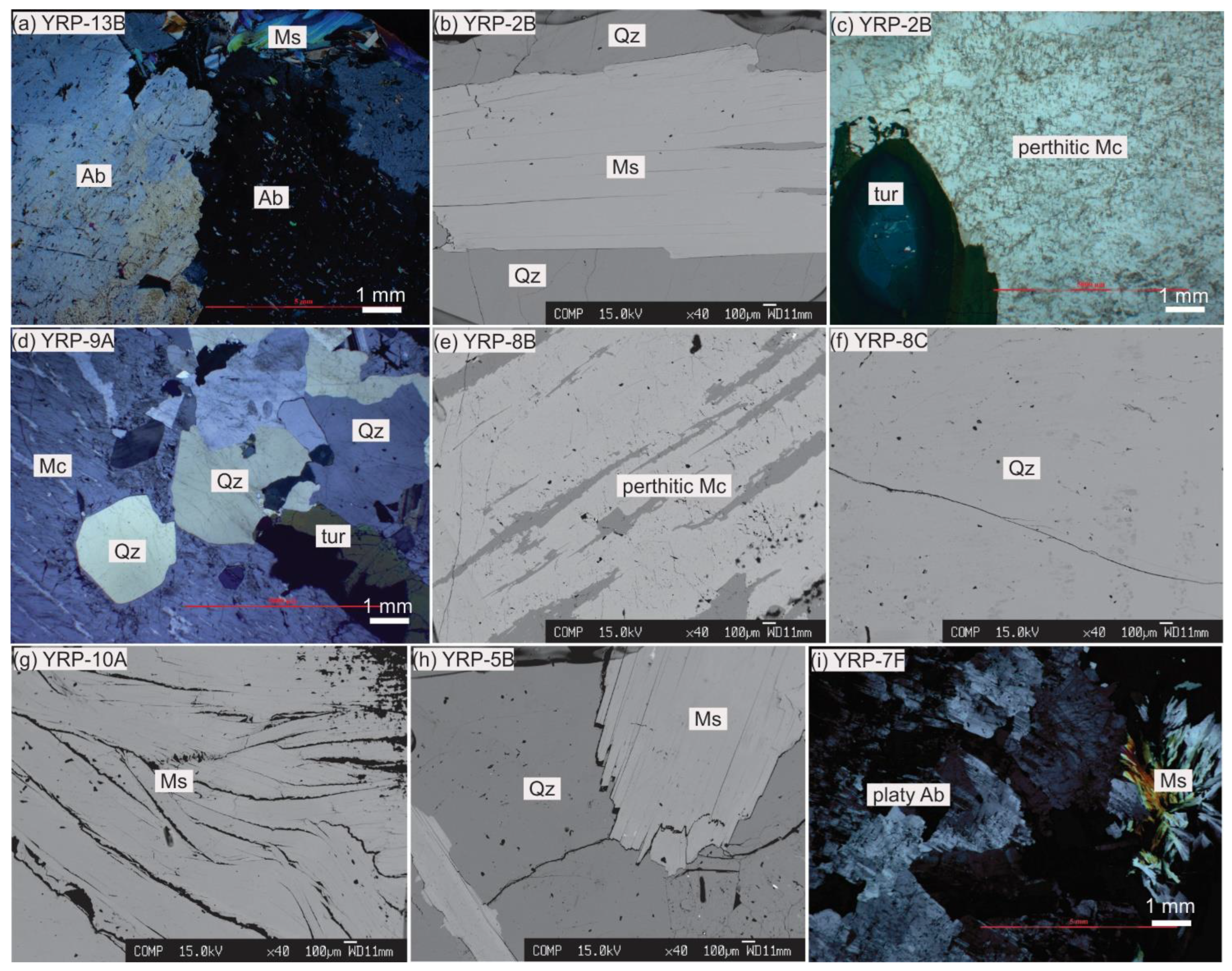 Minerals 12 00564 g008