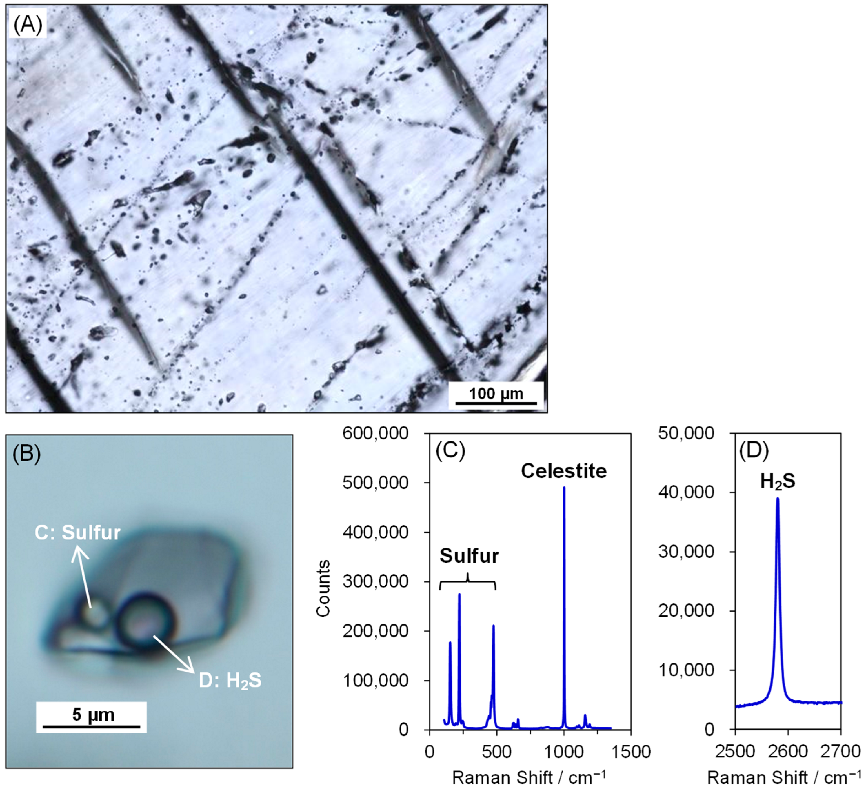 Minerals 12 00605 g006