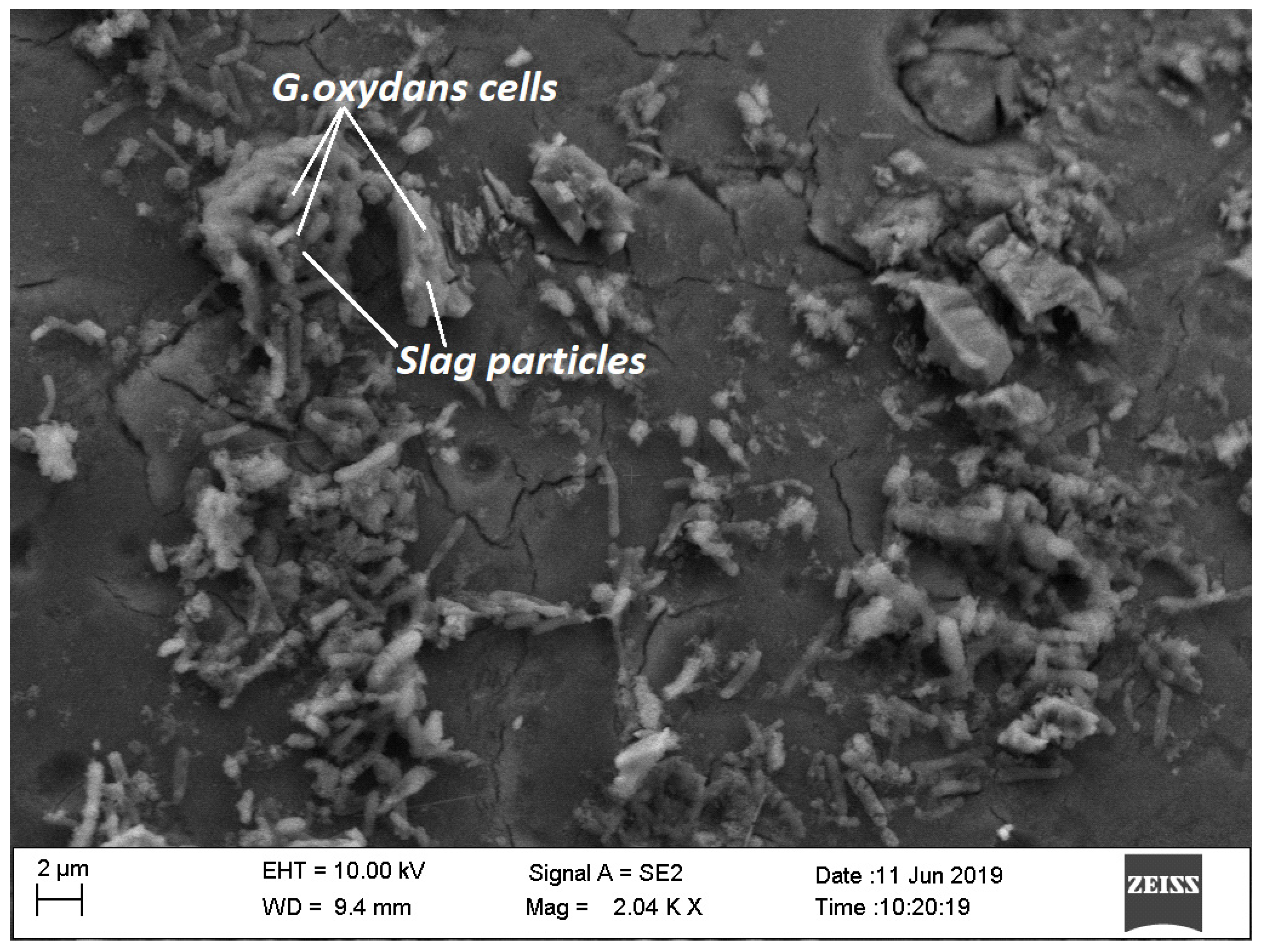 Minerals 12 00701 g005