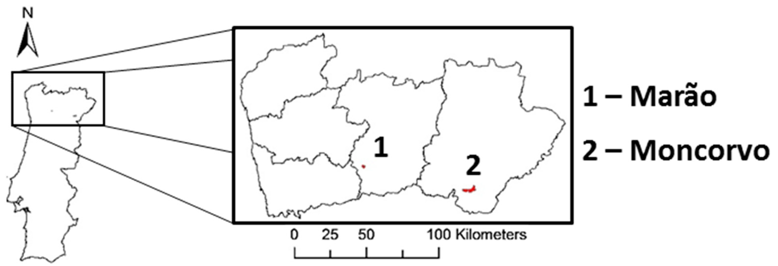 Minerals 12 00816 g002
