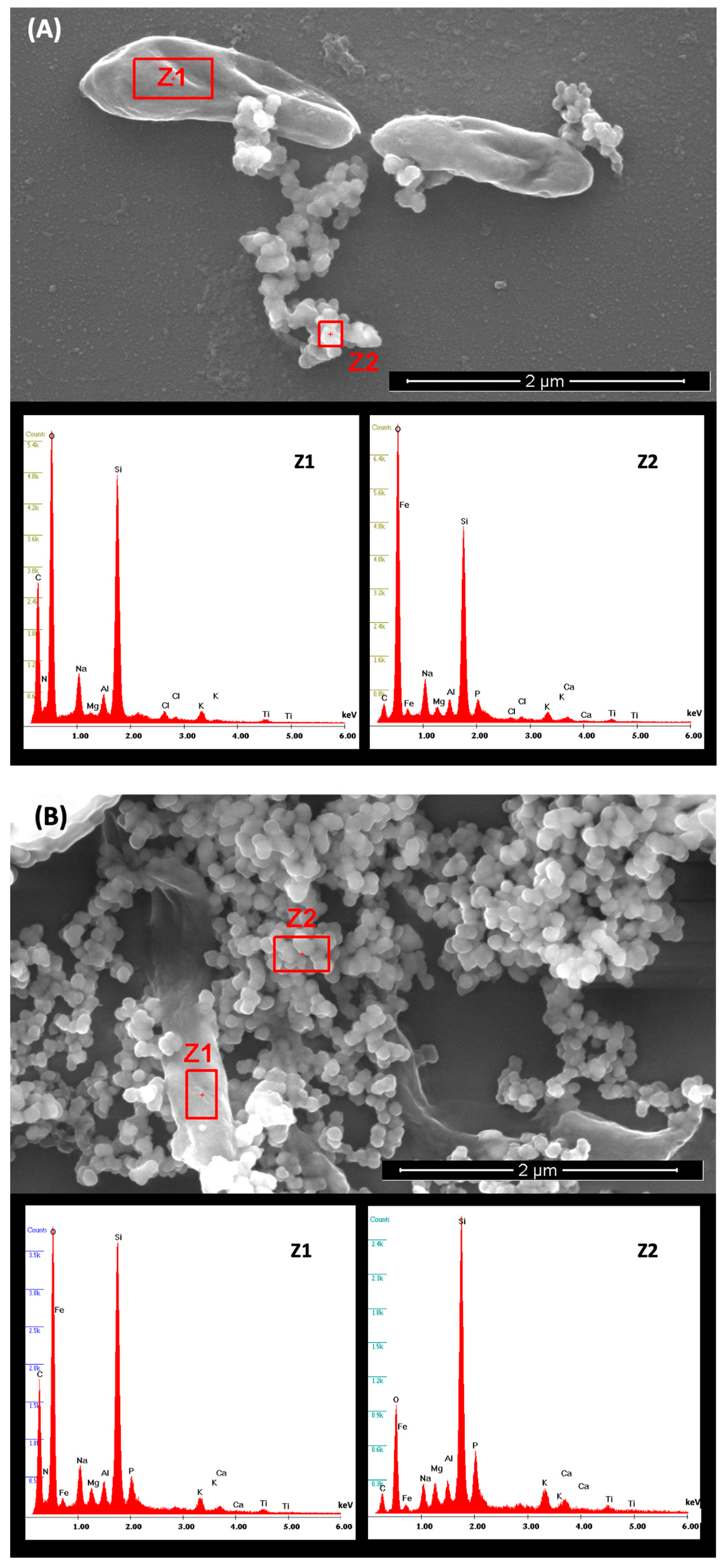 Minerals 12 00816 g006