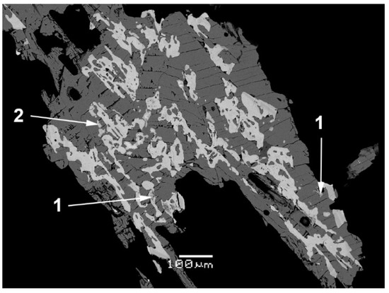 Minerals | Free Full-Text | A Natural Vanadate&ndash;Arsenate Isomorphous  Series with Jeffbenite-Type Structure: New Fumarolic Minerals Udinaite,  NaMg4(VO4)3, and Arsenudinaite, NaMg4(AsO4)3