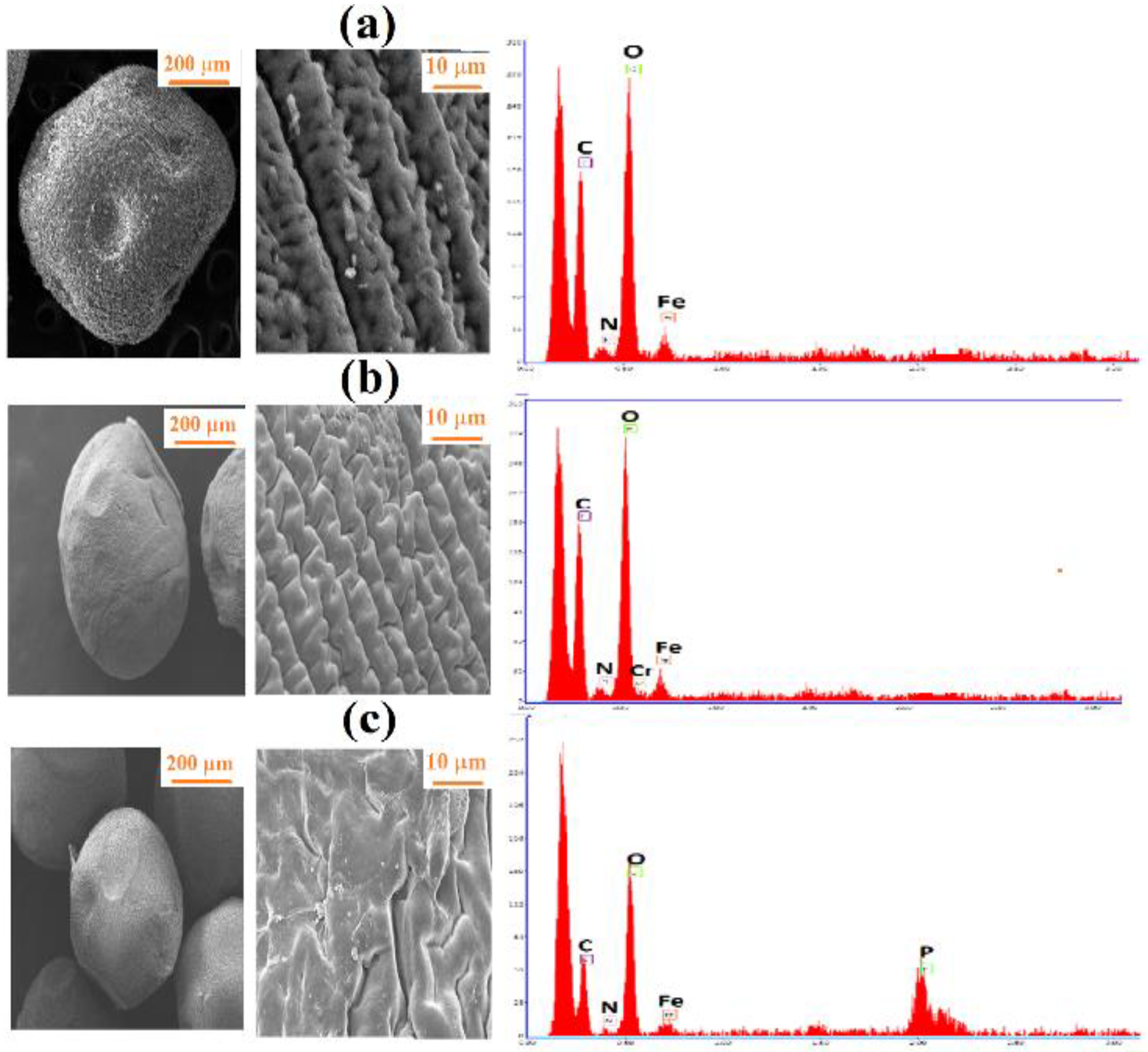 Minerals 12 00874 g003