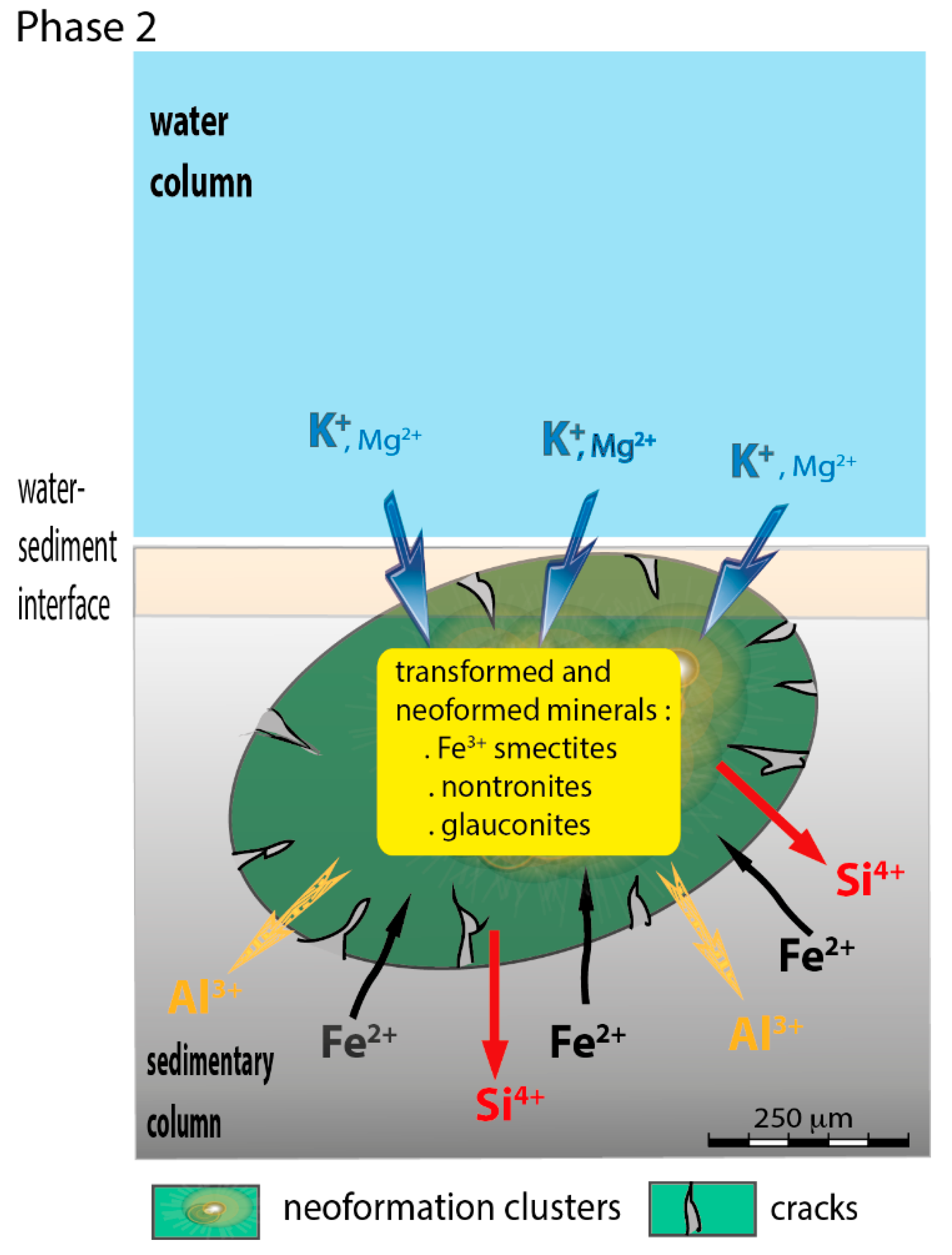 Minerals | Free Full-Text | Quaternary Glauconitization on Gulf of ...