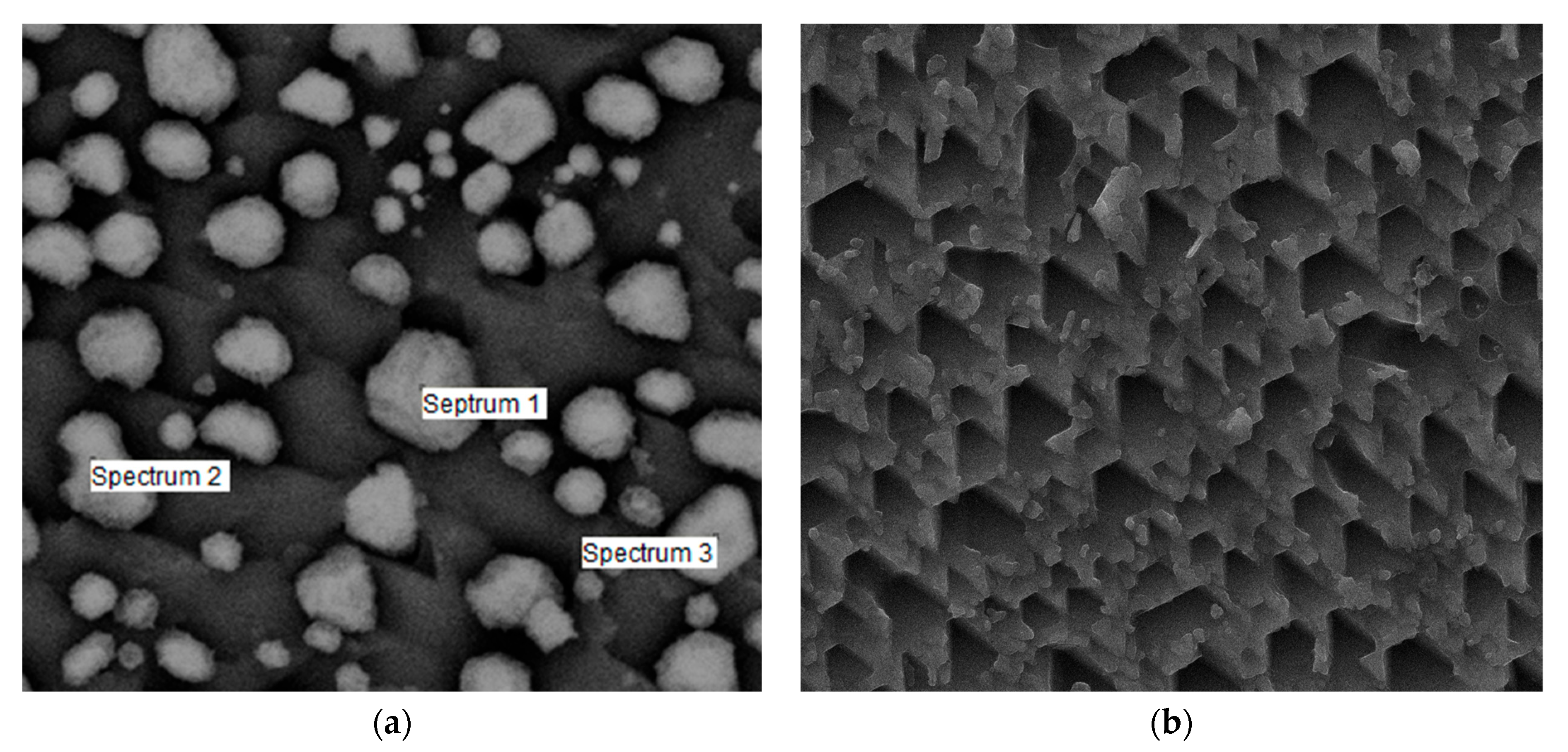 Minerals 12 00911 g005