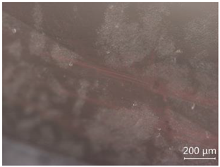 Minerals 12 00920 i019