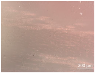 Minerals 12 00920 i024