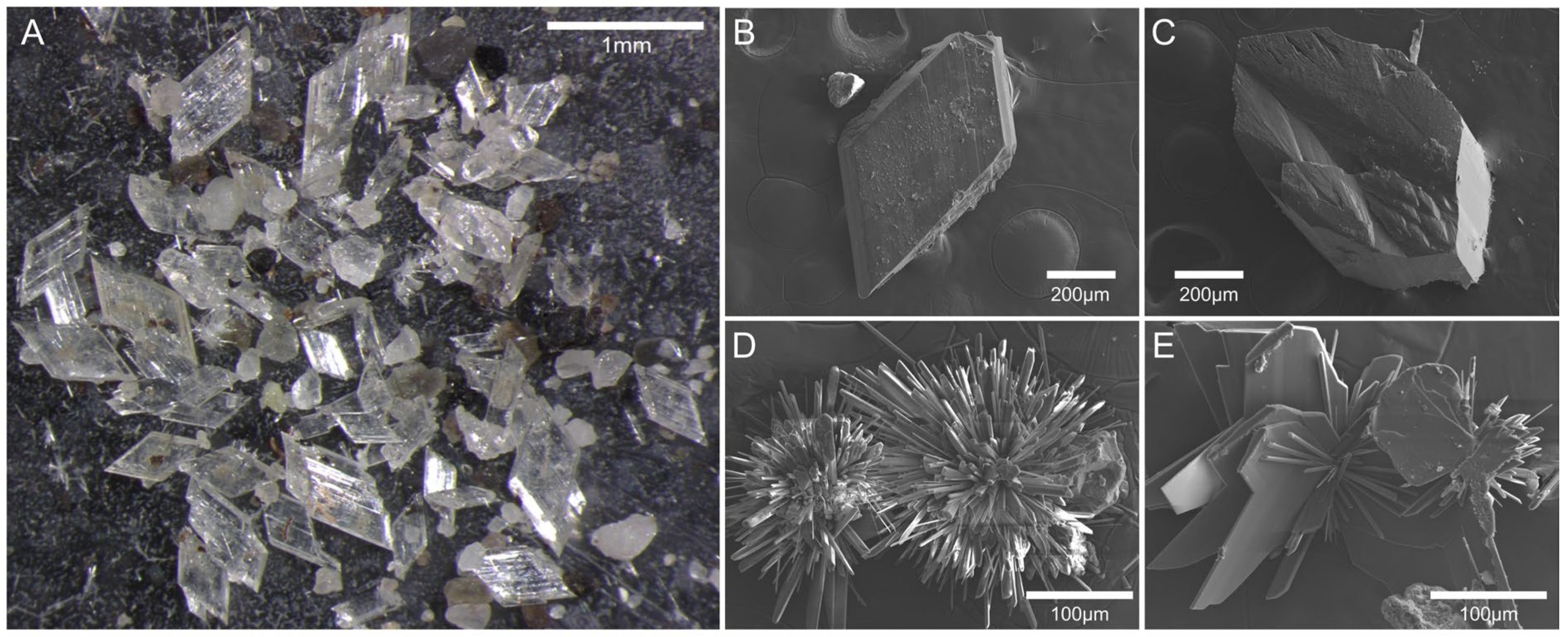 Minerals 12 00983 g004
