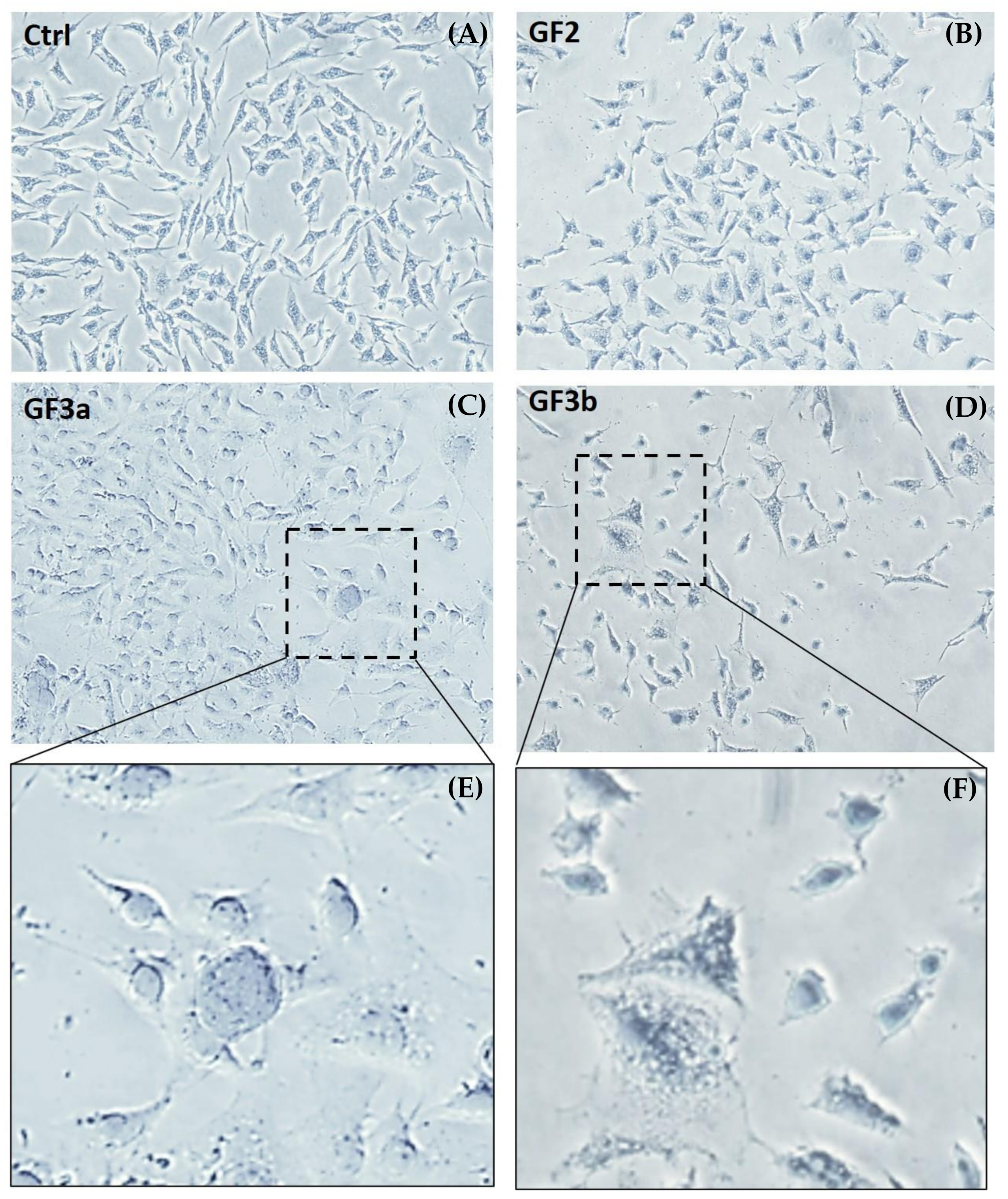 Minerals 12 00988 g004