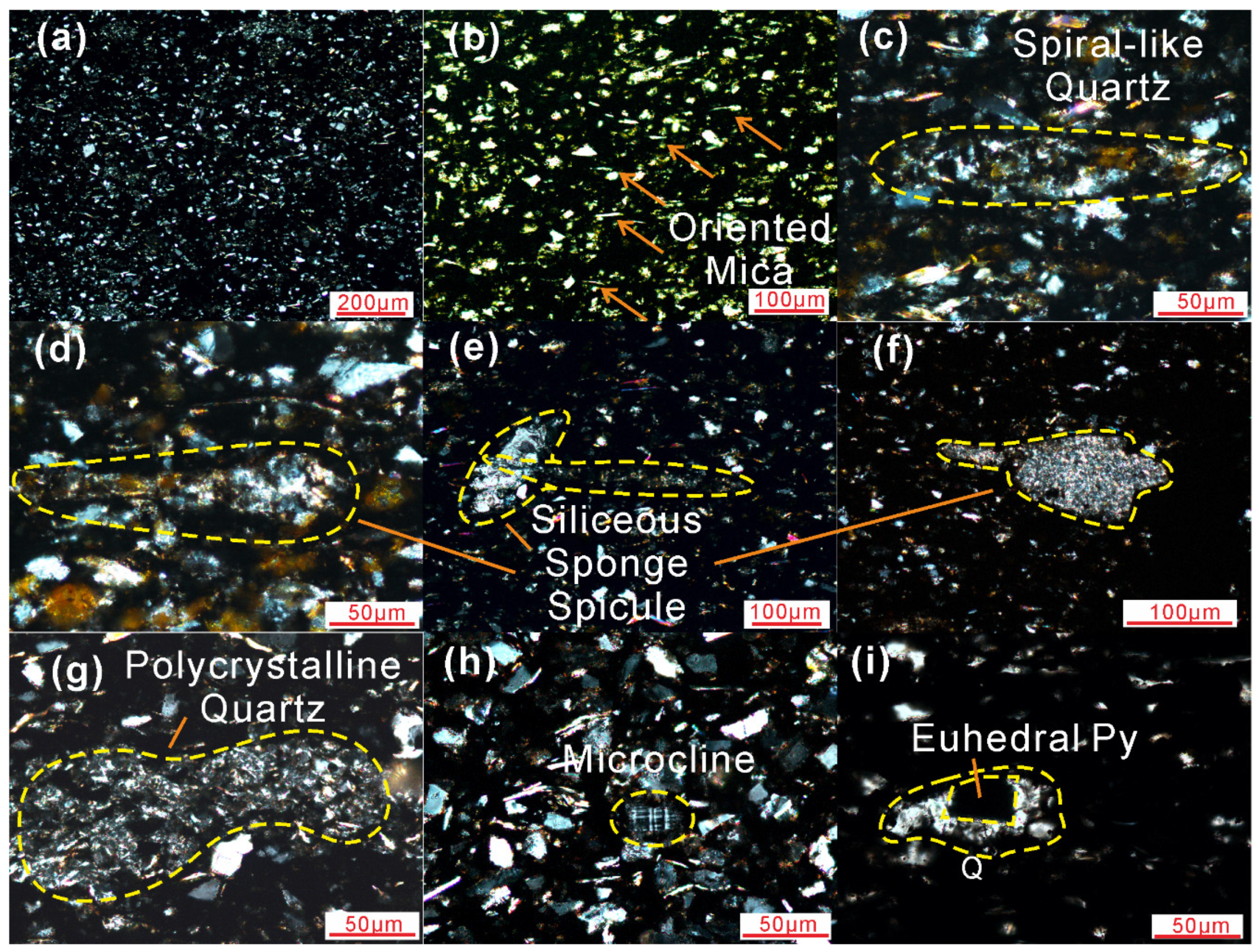 Minerals 12 01027 g006